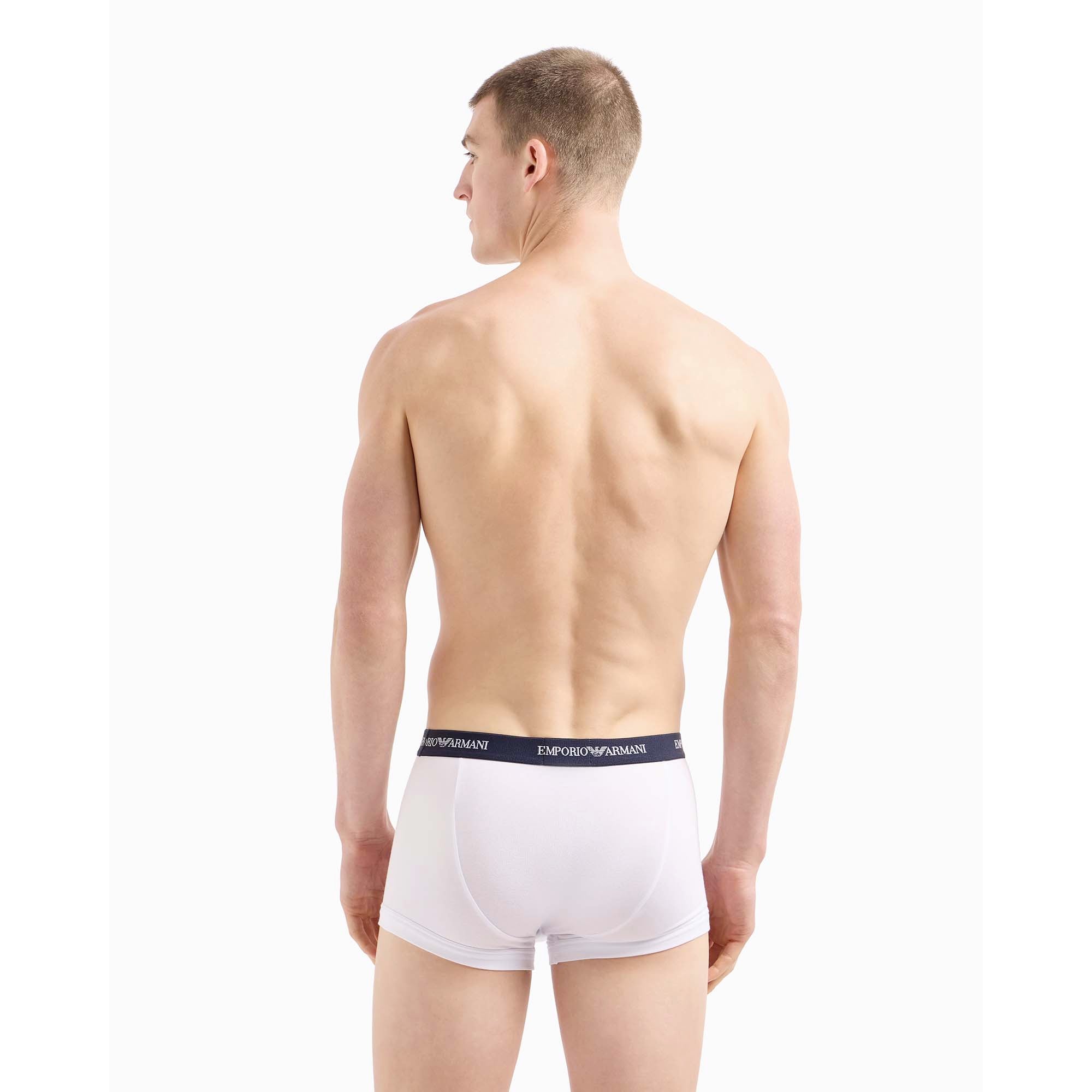 3PK_TRUNK_CC717111357_00110_Image_3