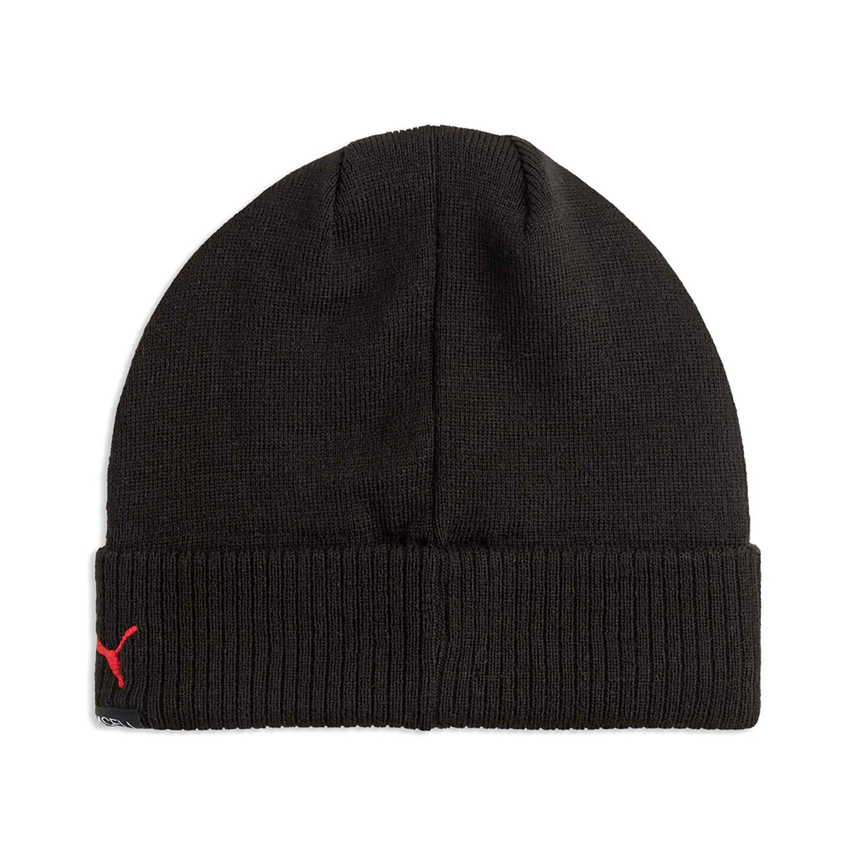 ACM_ESS_BEANIE_027530_02_Image_2