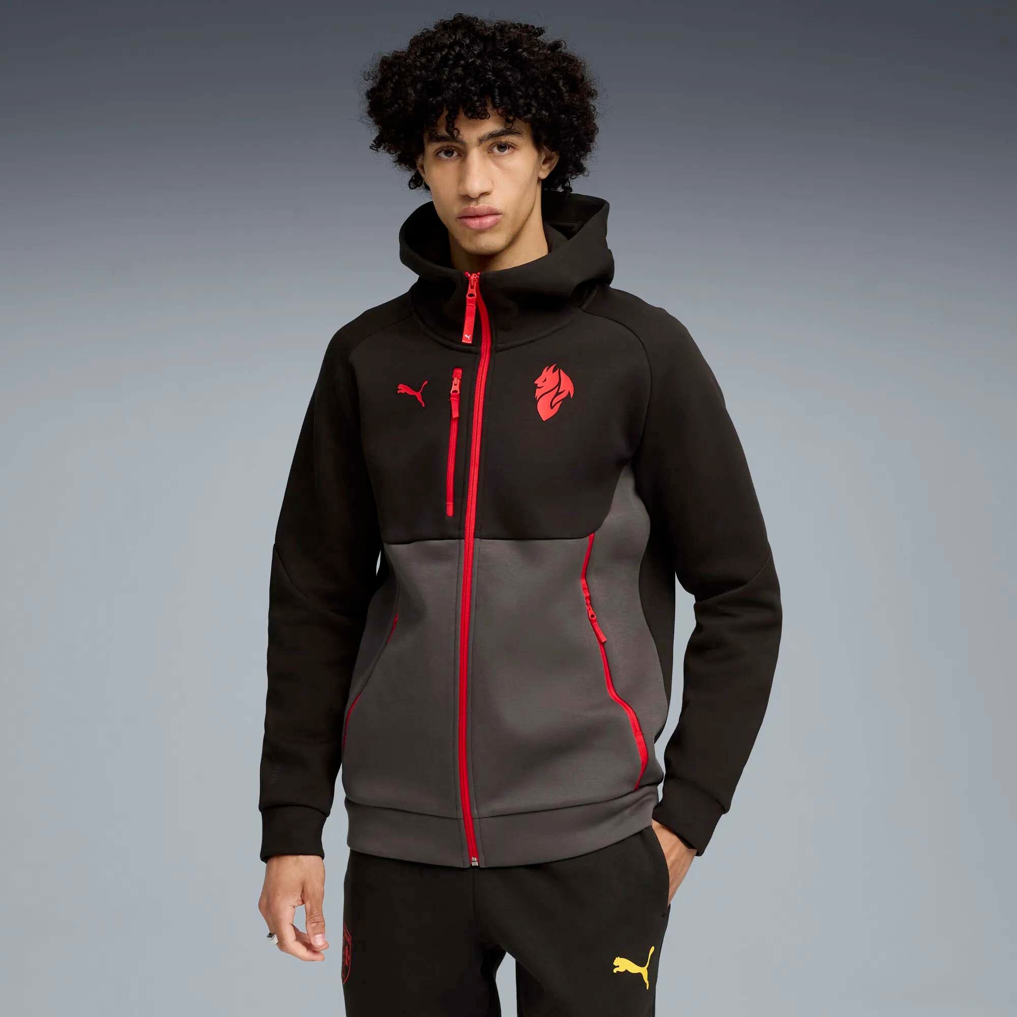 ACM_PUMATECH_FZ_HOODIE_782394_04_Image_2