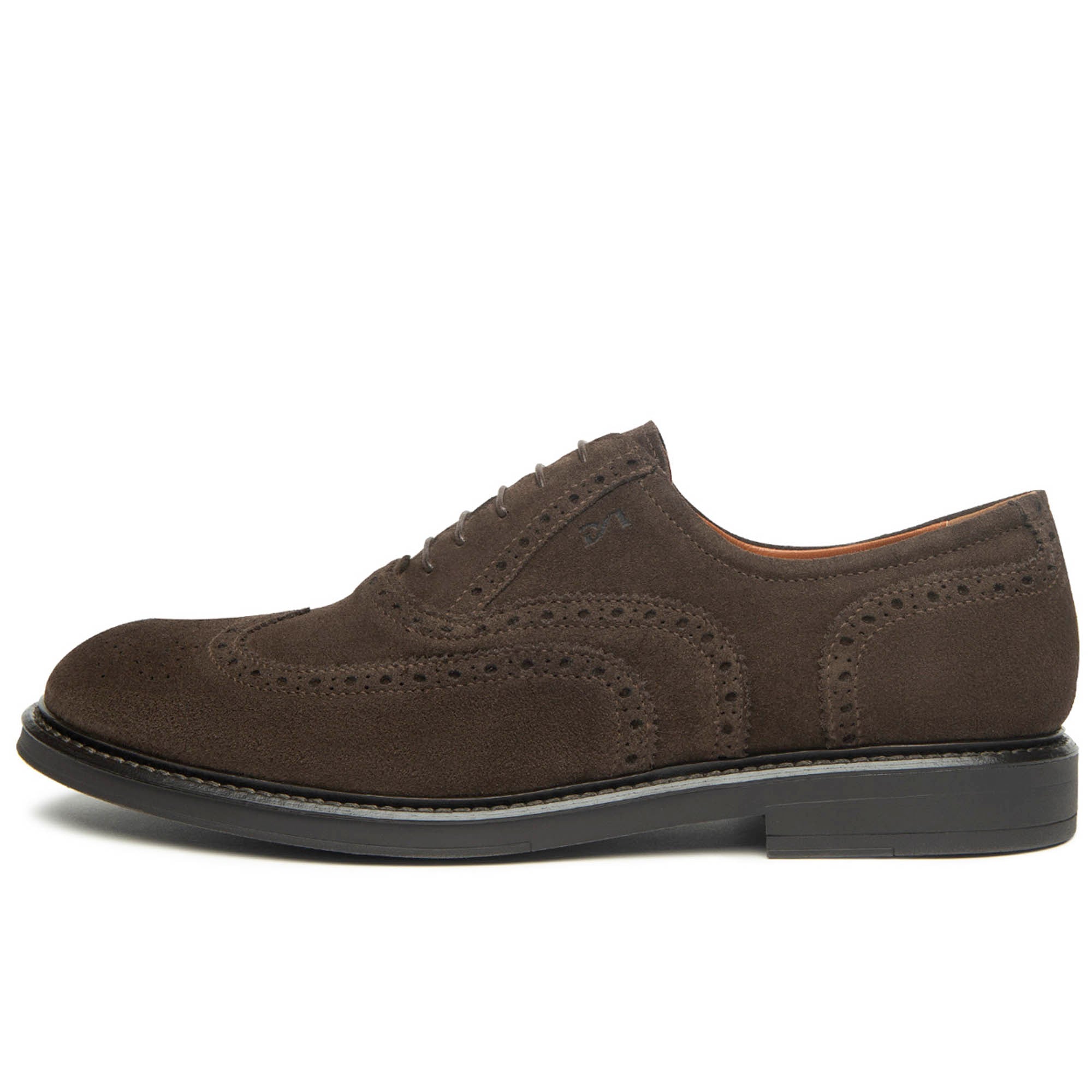 AROLD_TR_TORO_LIGHT_7882_T_I500800U_300_Image_1