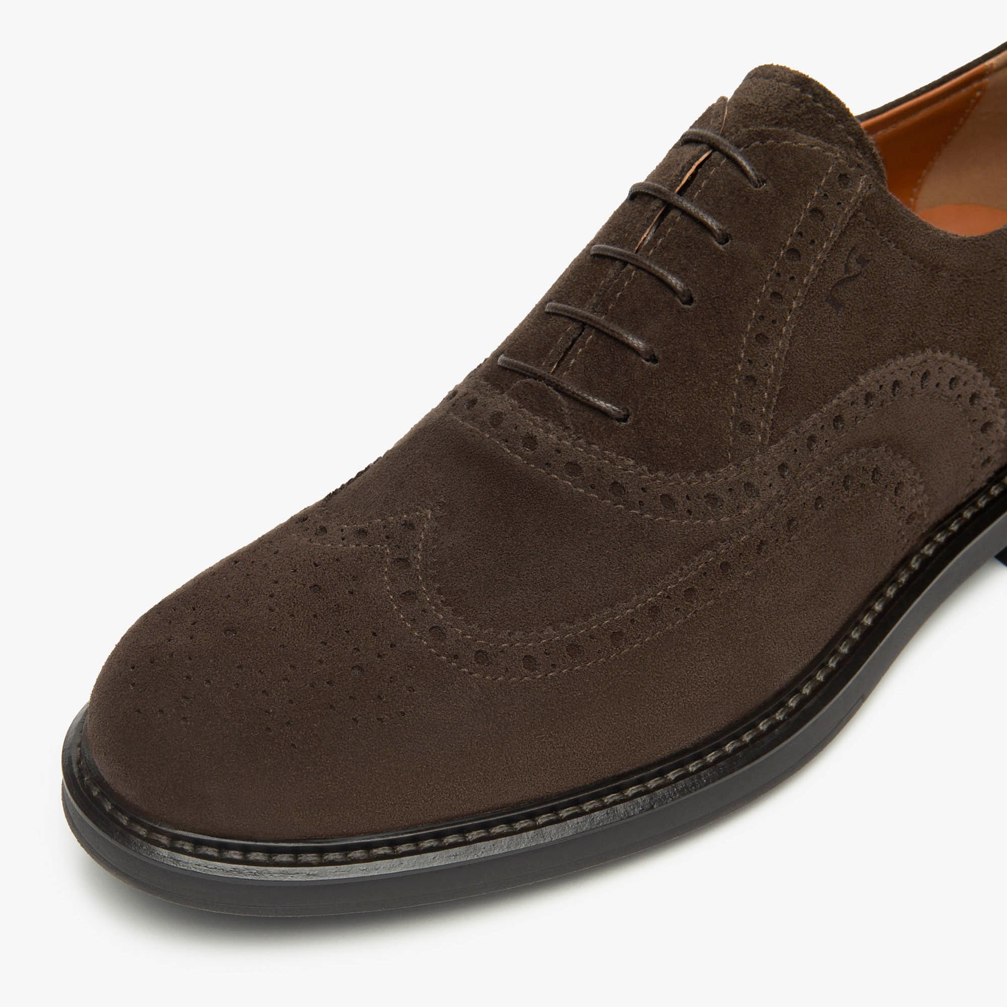 AROLD_TR_TORO_LIGHT_7882_T_I500800U_300_Image_3