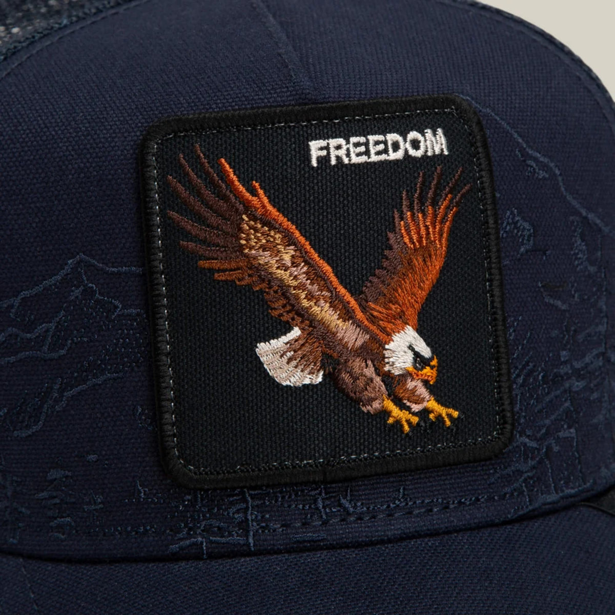 BADLANDS_EAGLE_1013126_EDG_Image_8