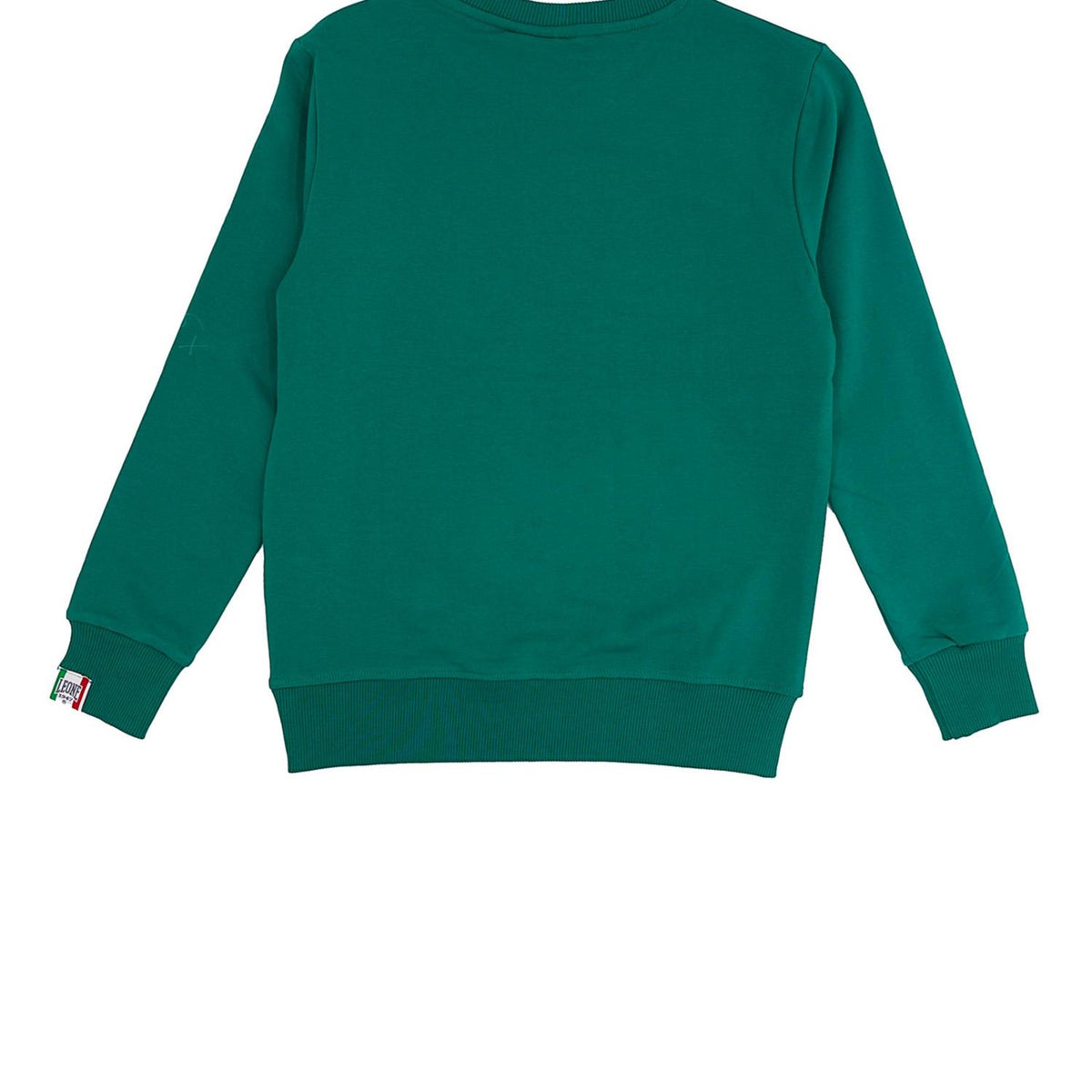 BOY_CREWNECK_COLLEGE_B5425T7F02_210_Image_2