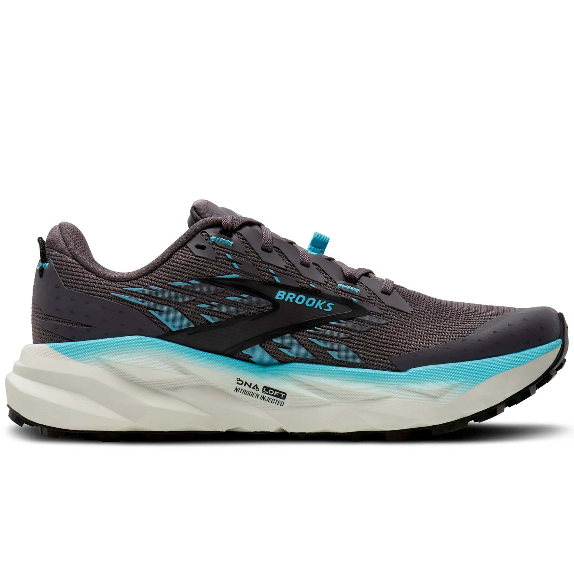 CASCADIA_19_120446_1B093_Image_3