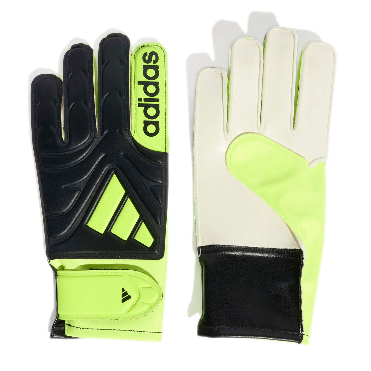 COPA_GL_CLB_J_JN5341_BLACKLU_Image_1
