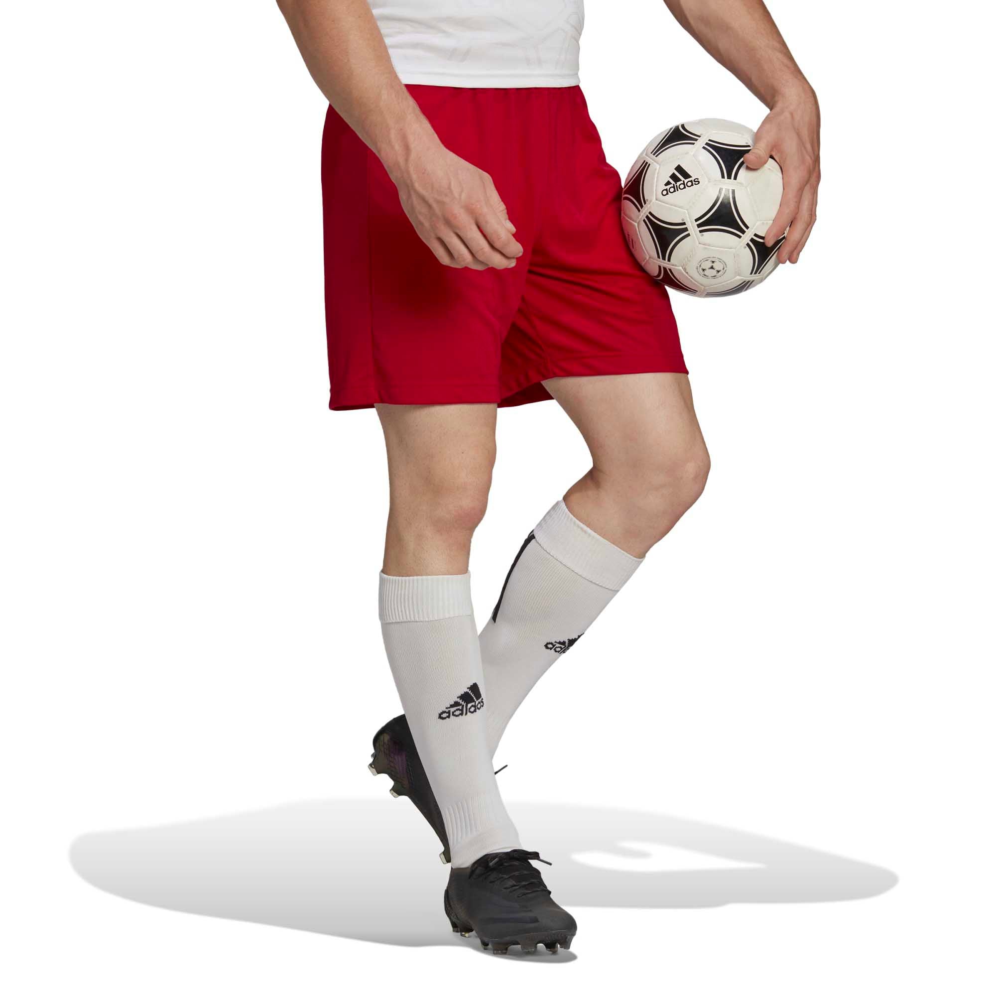 ENT22_SHO_H61735_TEPORE_Image_5