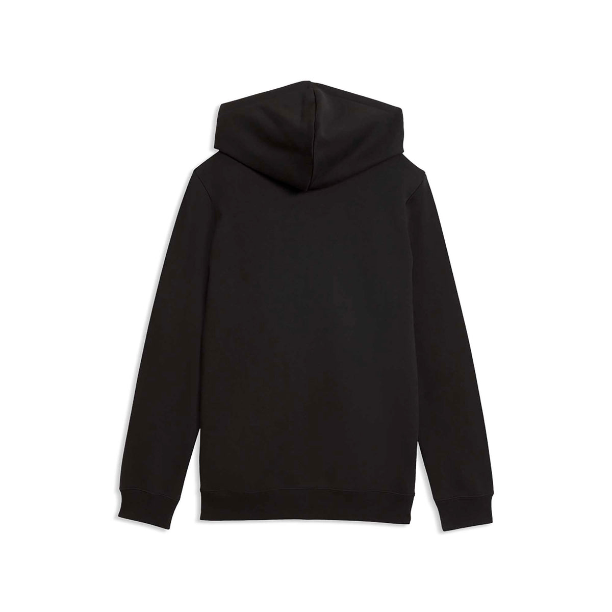 ESS_2_COLOR_SMALL_NO_1_LOGO_HOODIE_FL_B_685825_71_Image_2