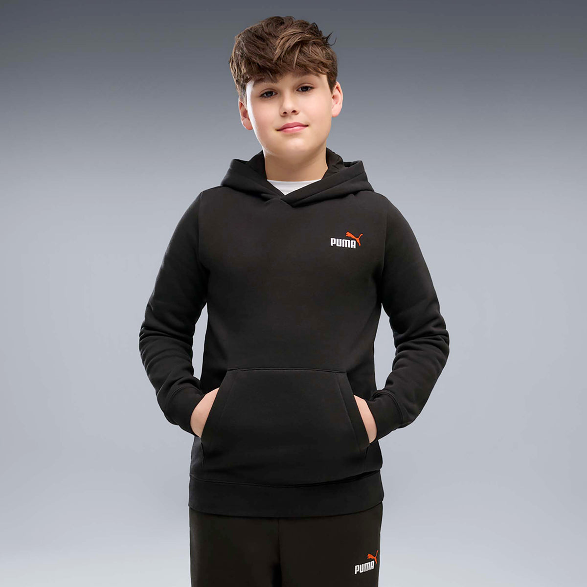 ESS_2_COLOR_SMALL_NO_1_LOGO_HOODIE_FL_B_685825_71_Image_3