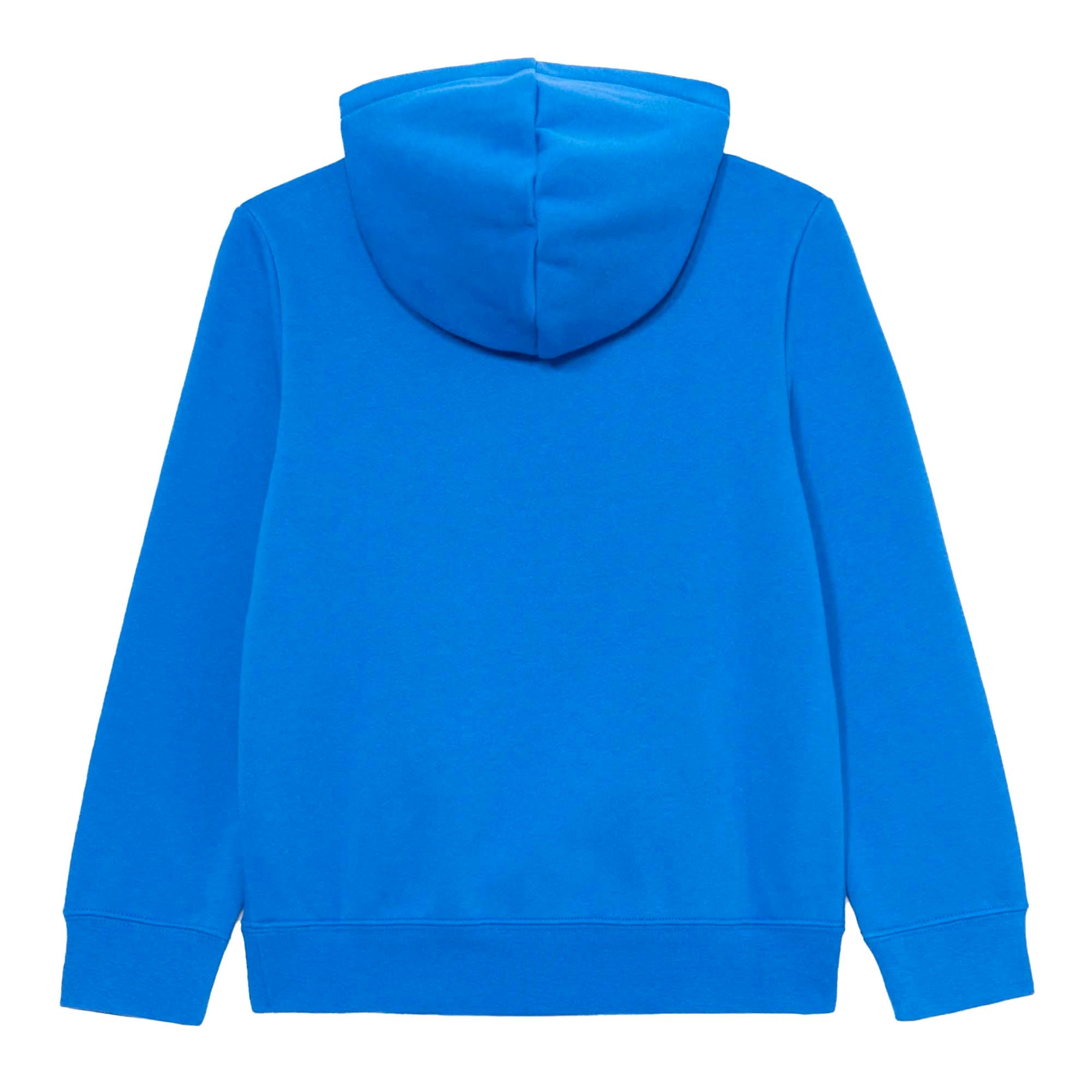 ESS_LOGO_LAB_HOODIE_FL_B_689135_13_Image_2