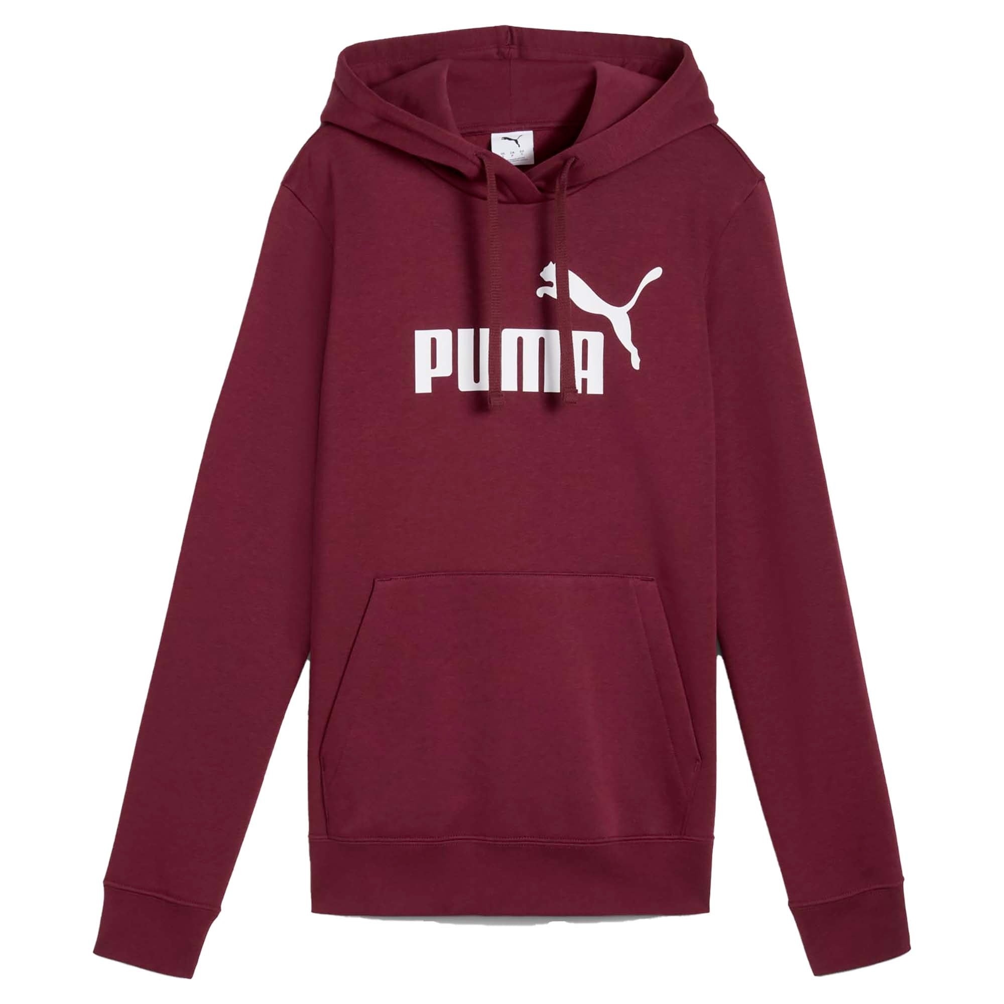 ESS_NO_1_LOGO_HOODIE_FL_S_682389_96_Image_1