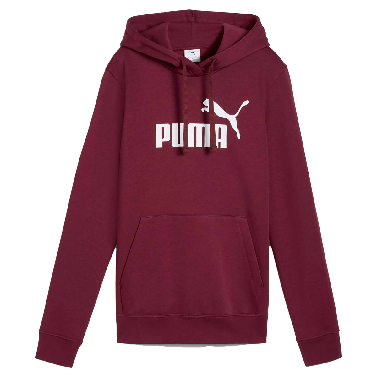 ESS_NO_1_LOGO_HOODIE_FL_S_682389_96_Image_1