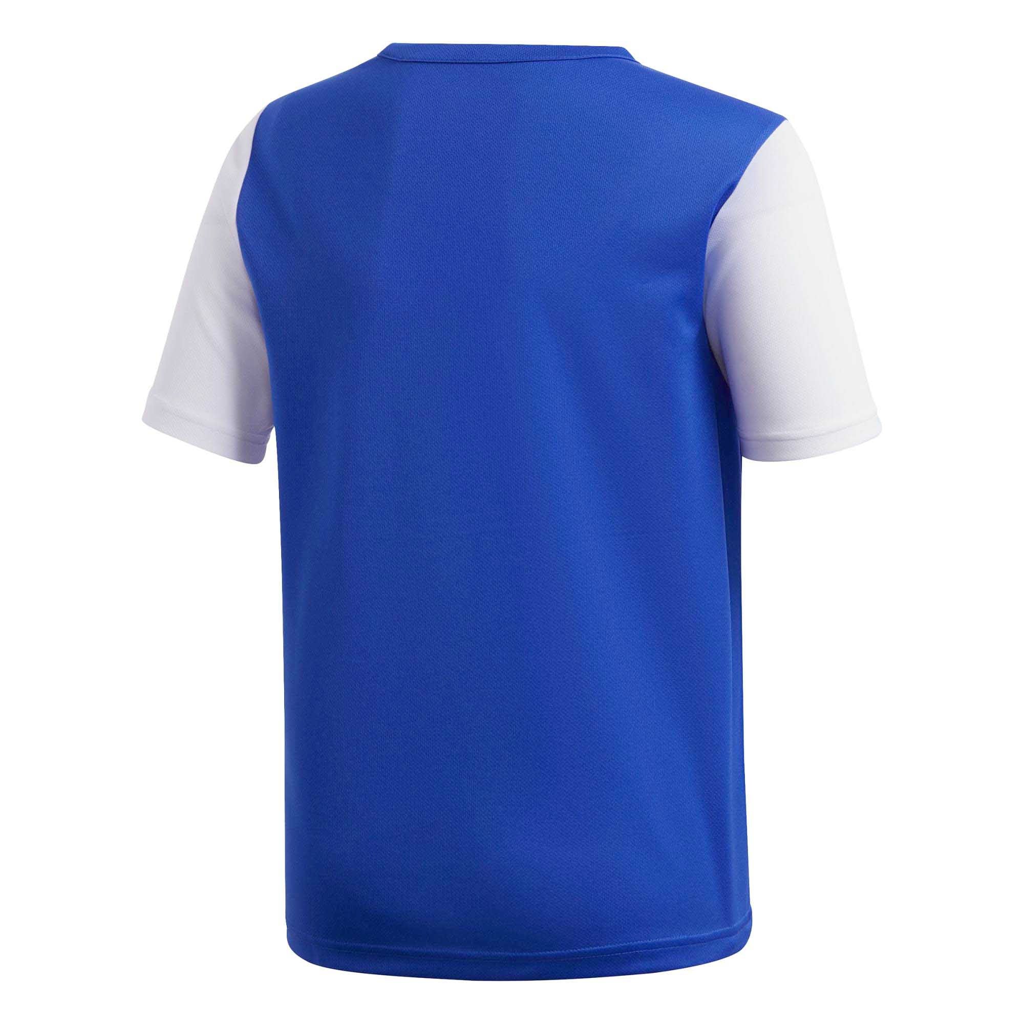 ESTRO_19_JSYY_DP3217_BOBLUE_Image_2