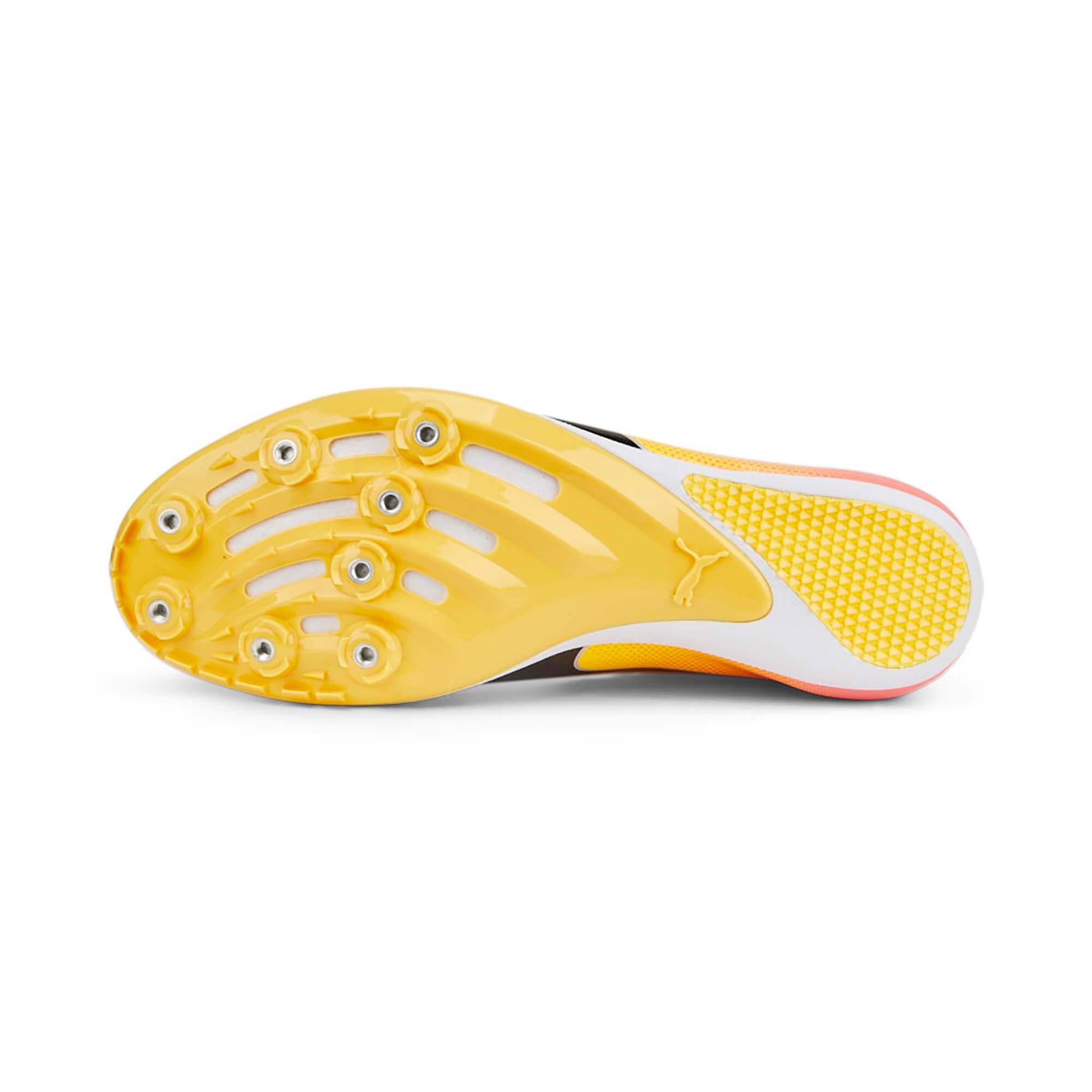 EVOSPEED_SPRINT_14_377001_01_Image_3