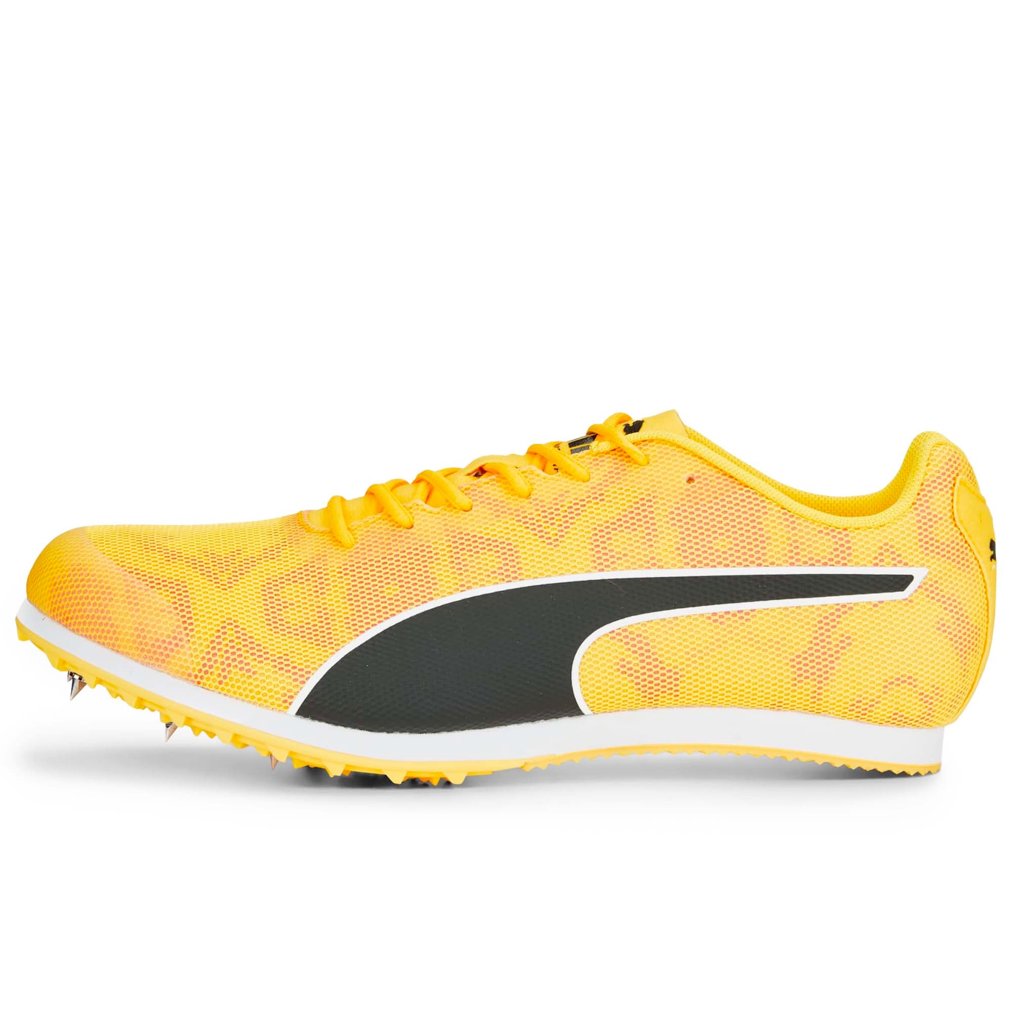 EVOSPEED_STAR_8_377959_01_Image_1