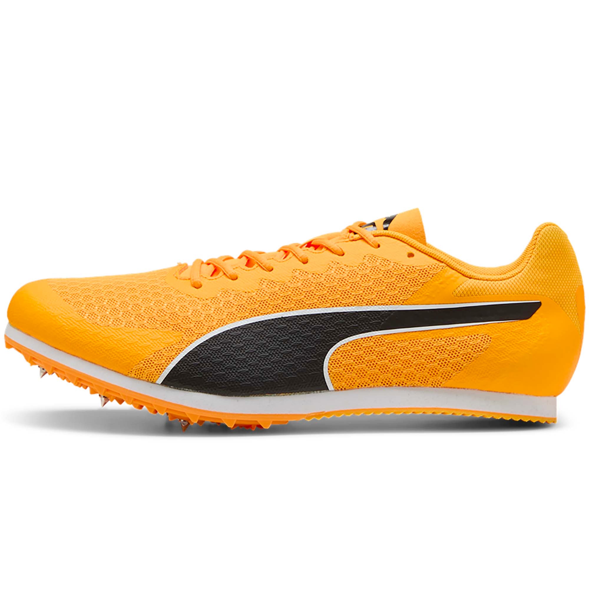 EVOSPEED_STAR_9_311379_03_Image_1