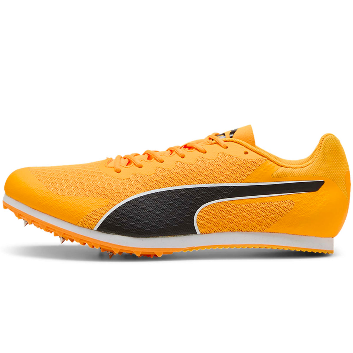 EVOSPEED_STAR_9_311379_03_Image_1