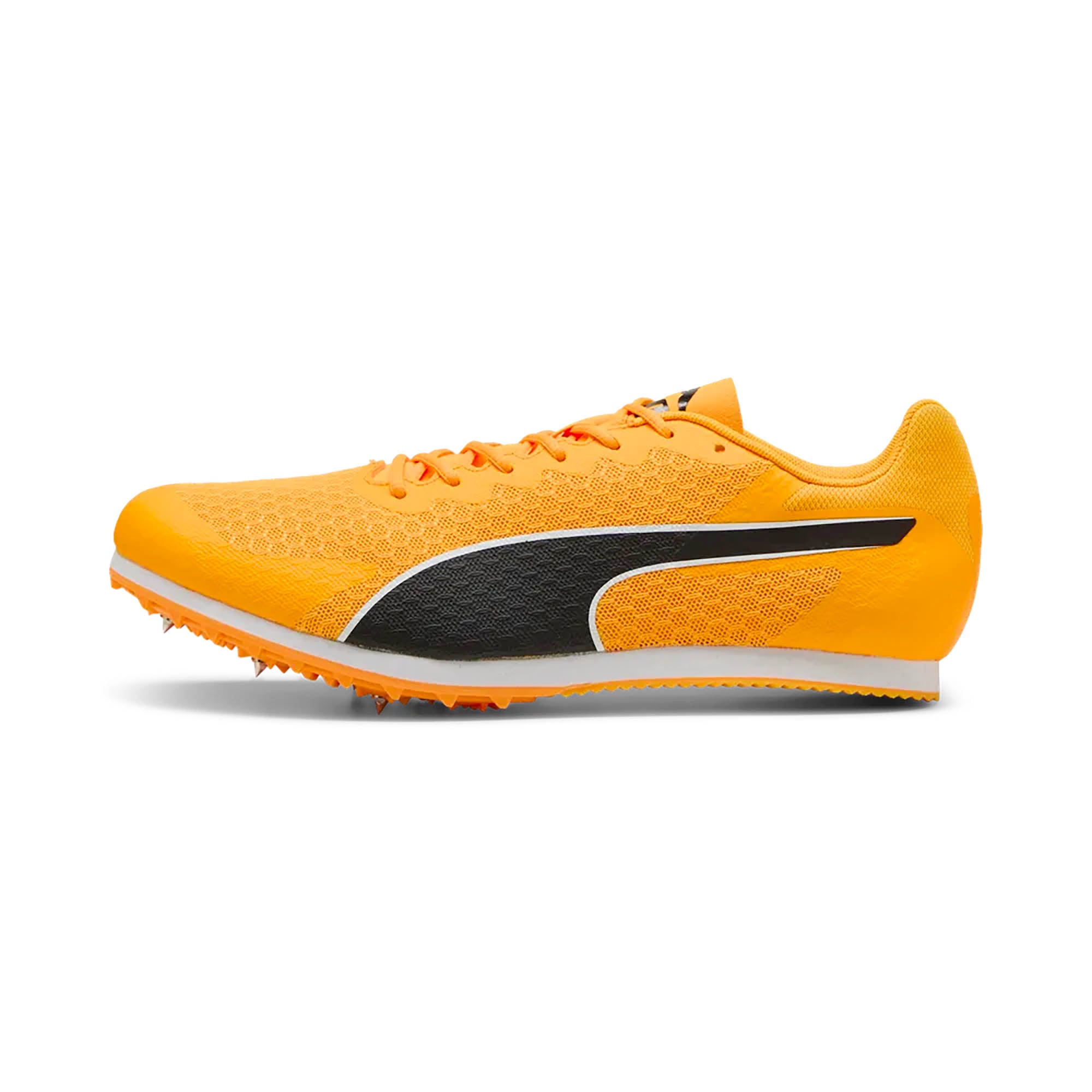 EVOSPEED_STAR_9_311379_03_Image_1