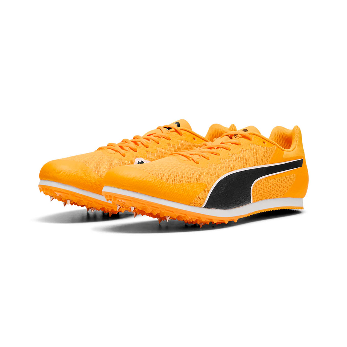 EVOSPEED_STAR_9_311379_03_Image_2