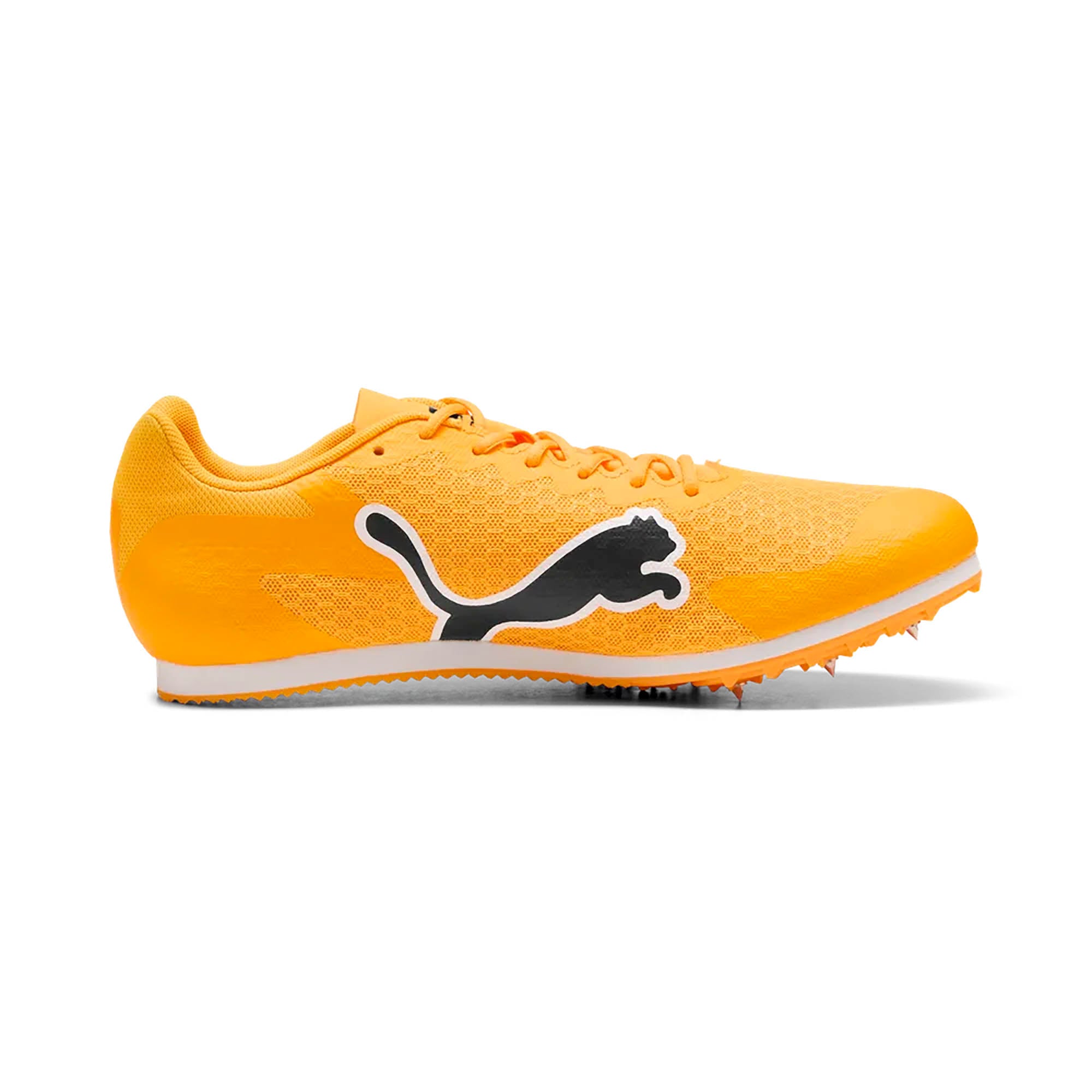 EVOSPEED_STAR_9_311379_03_Image_3