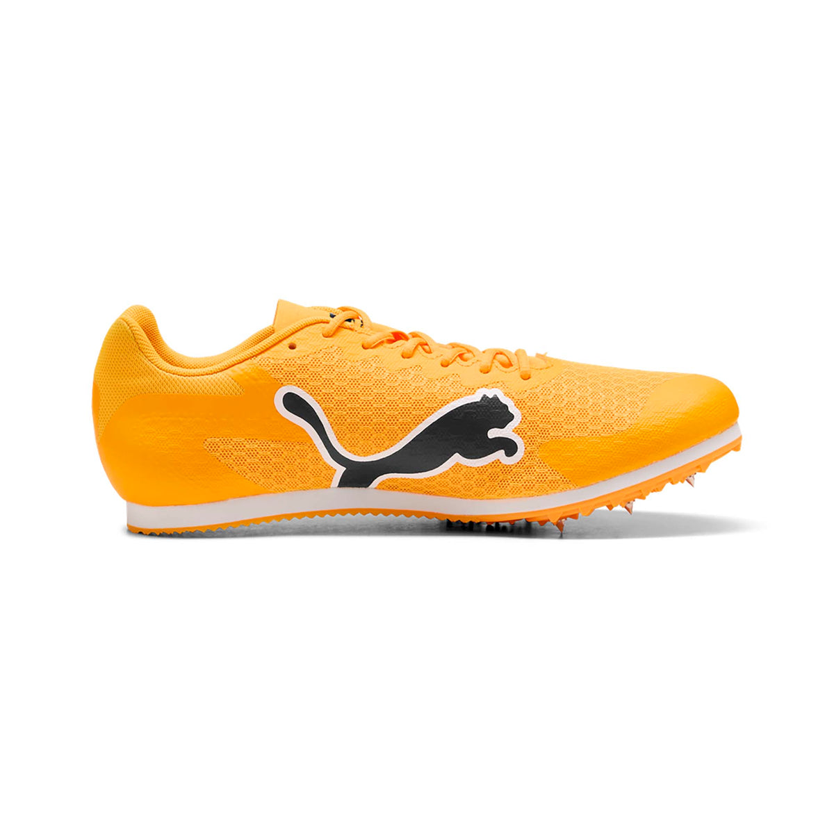 EVOSPEED_STAR_9_311379_03_Image_3