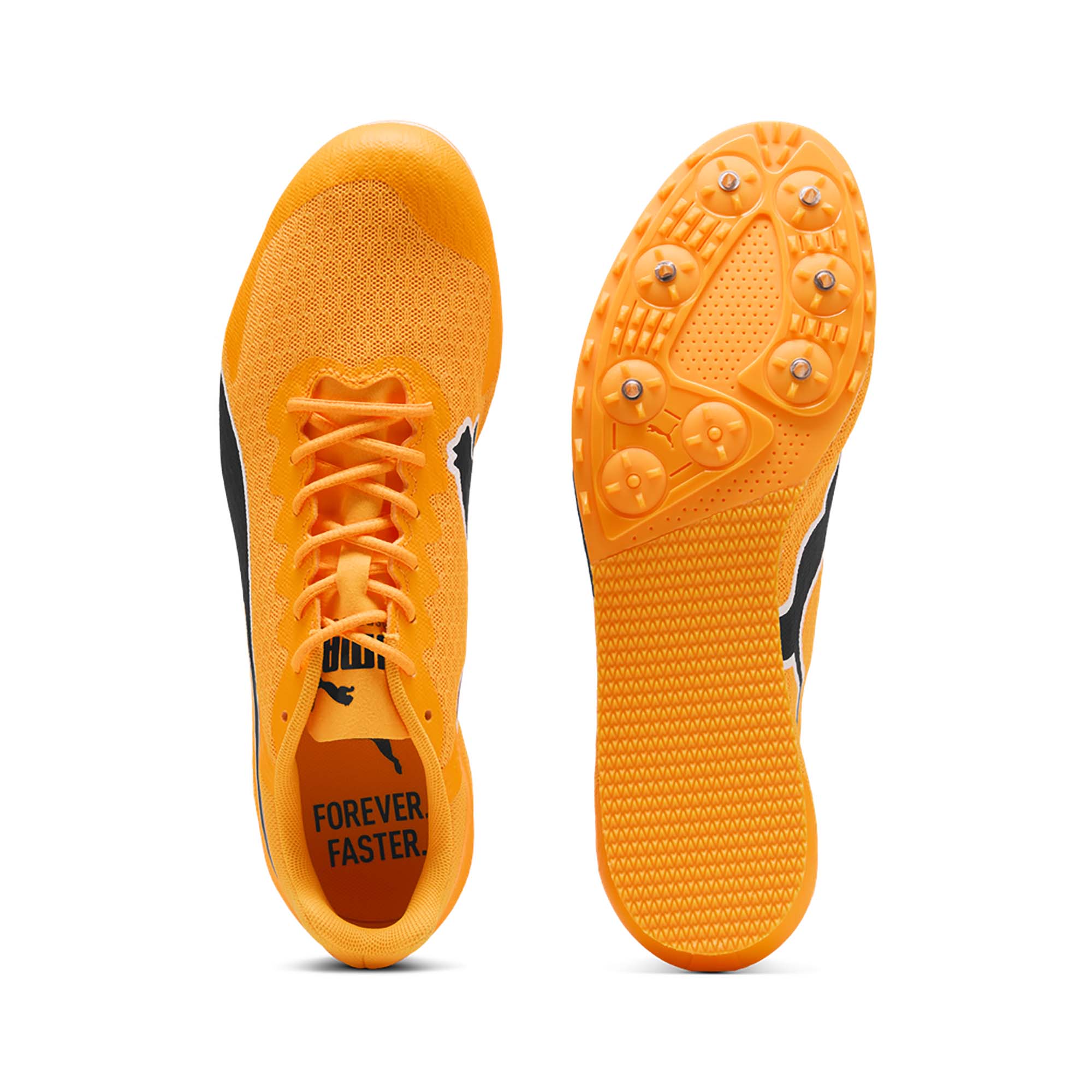 EVOSPEED_STAR_9_311379_03_Image_4