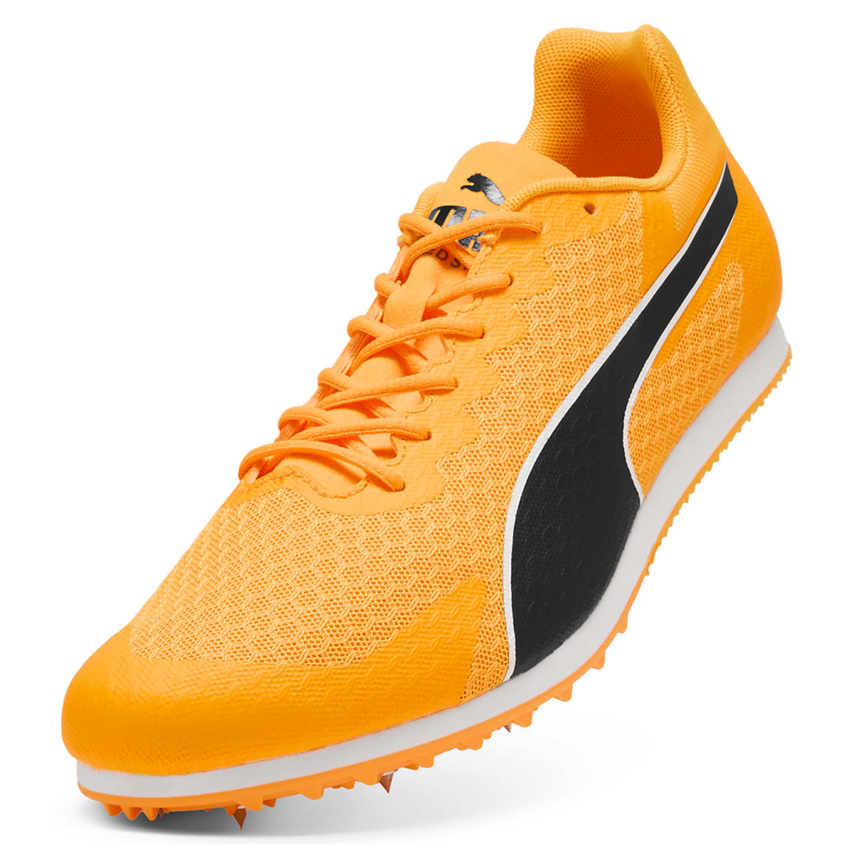 EVOSPEED_STAR_9_311379_03_Image_5