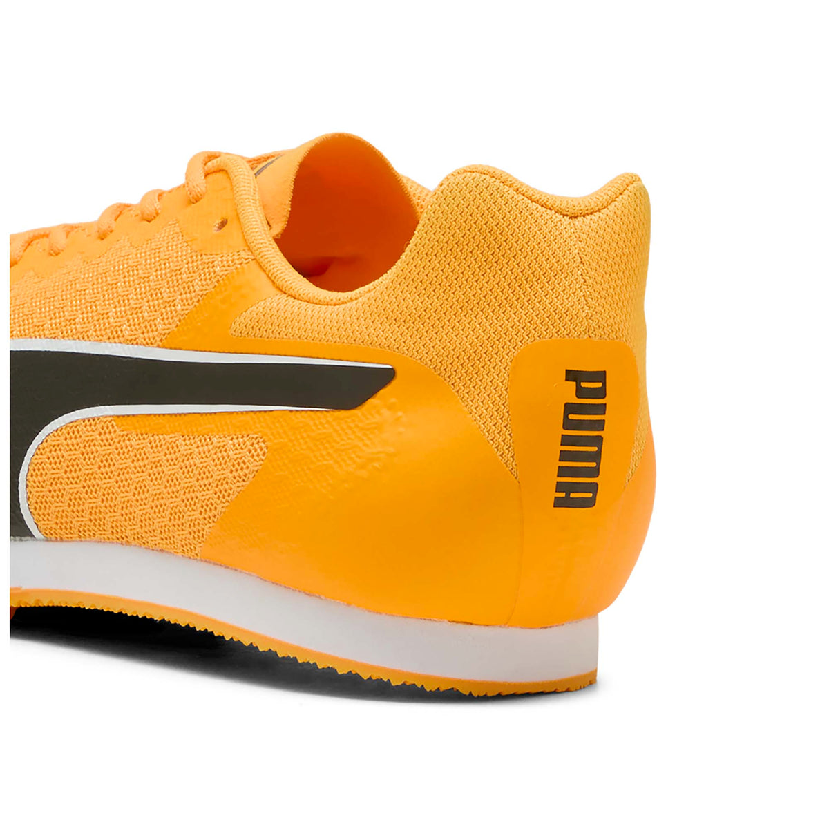 EVOSPEED_STAR_9_311379_03_Image_6