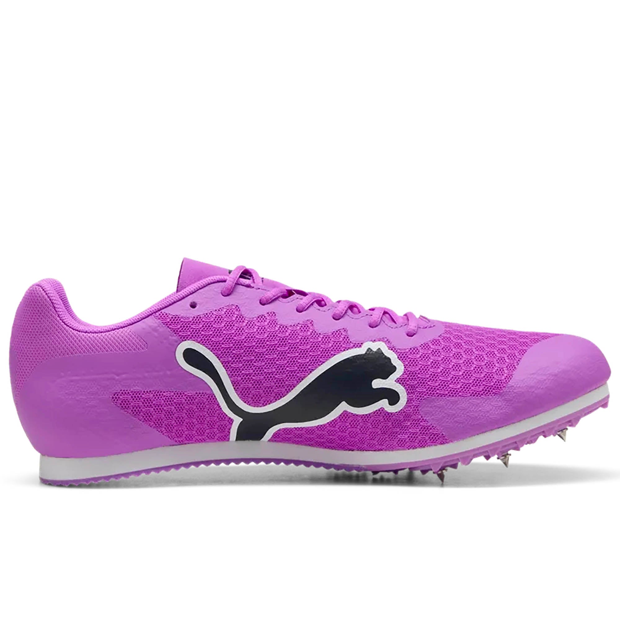 EVOSPEED_STAR_9_311379_04_Image_3