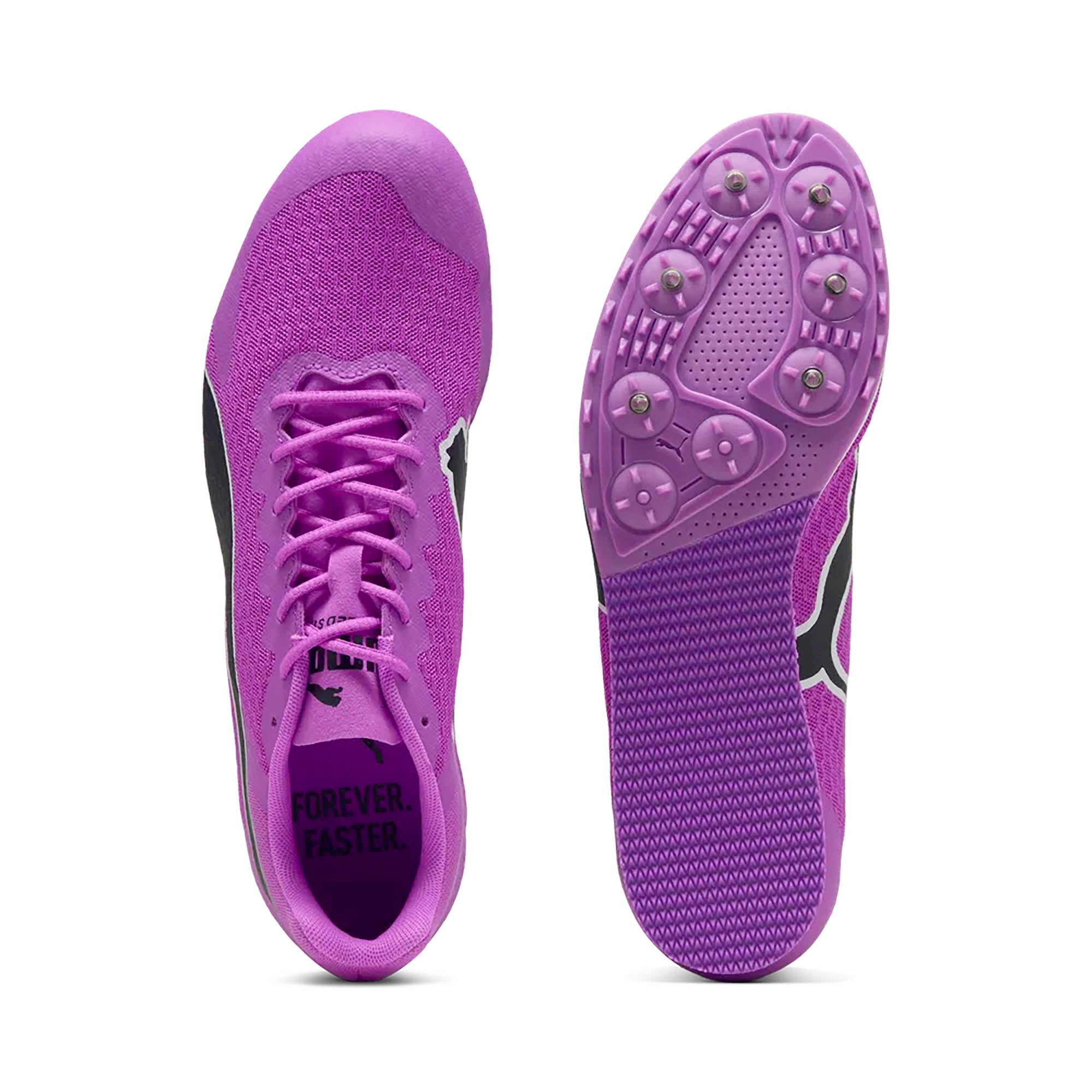 EVOSPEED_STAR_9_311379_04_Image_4