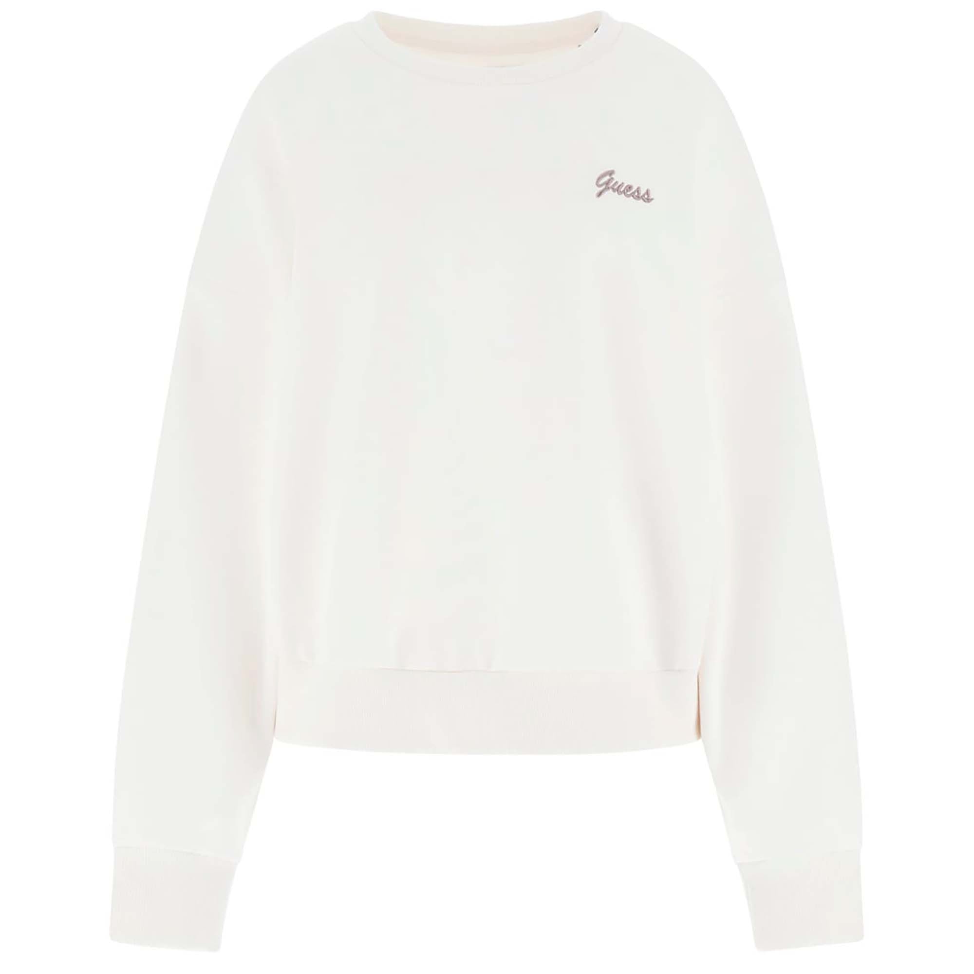 FABIA_CN_SWEATSHIRT_V5BQ03KCX22_D001_Image_1