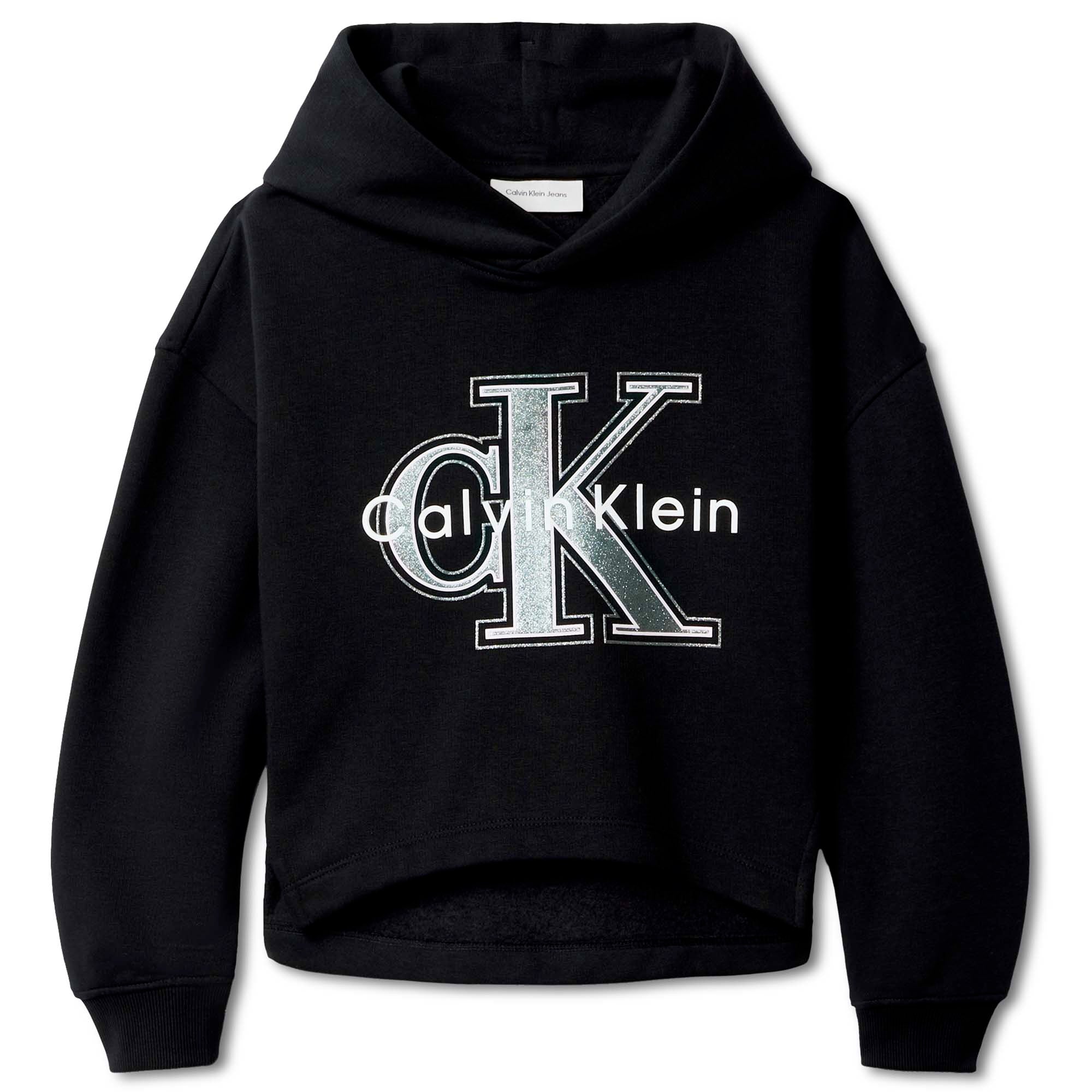 FESTIVE_GRAPHIC_FLEECE_HOODIE_CKIG0IG03018T_BEH_Image_1