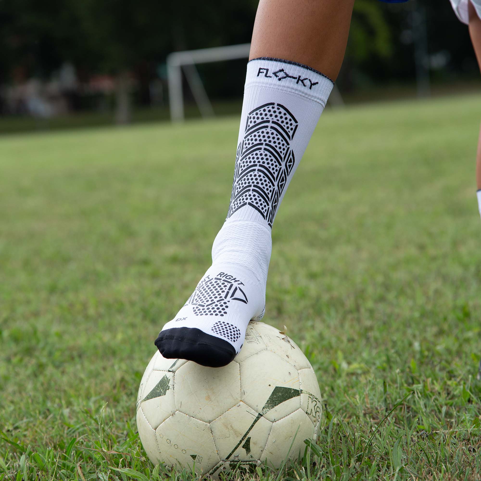 FLOKY_AXSIST_FLAX_005_Image_5