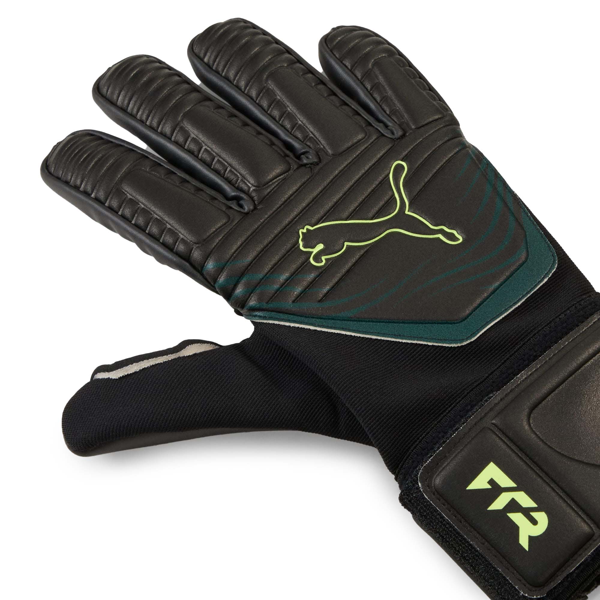 FUTURE_MATCH_NC_042067_13_Image_2