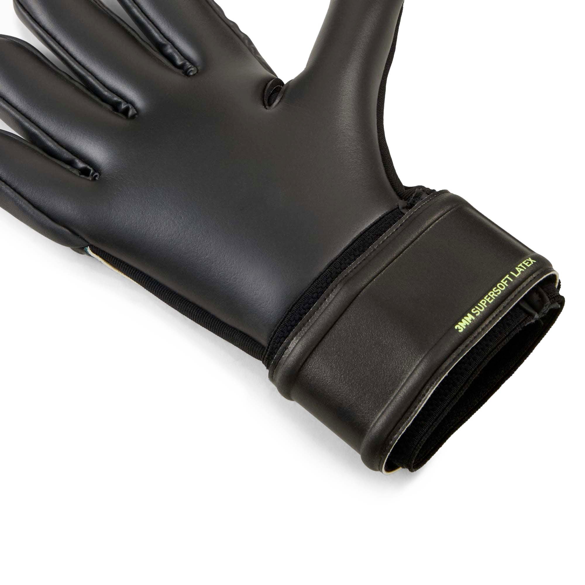 FUTURE_MATCH_NC_042067_13_Image_3