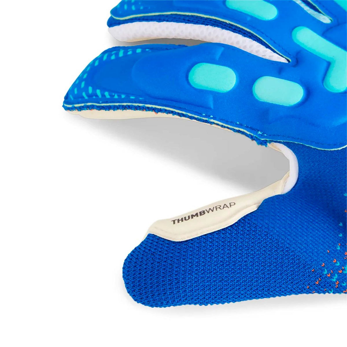 FUTURE_PRO_HYBRID_041924_04_Image_4