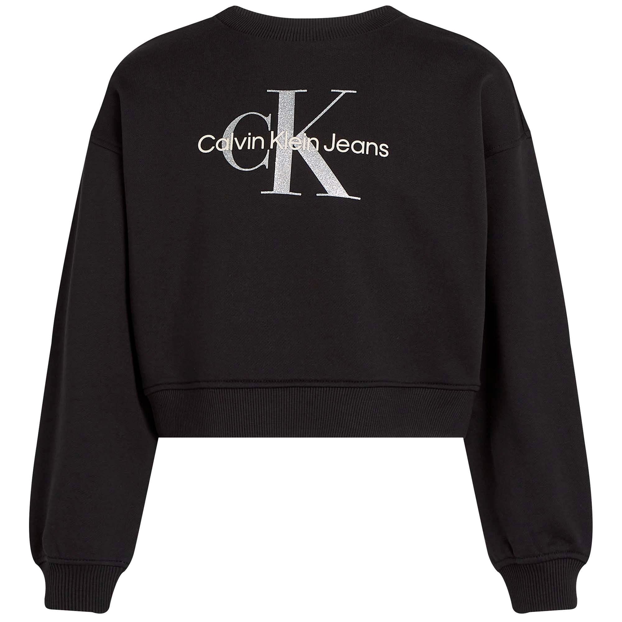 GLITTER_MONOLOGO_CN_SWEATSHIRT_CKIG0IG02823T_BEH_Image_1