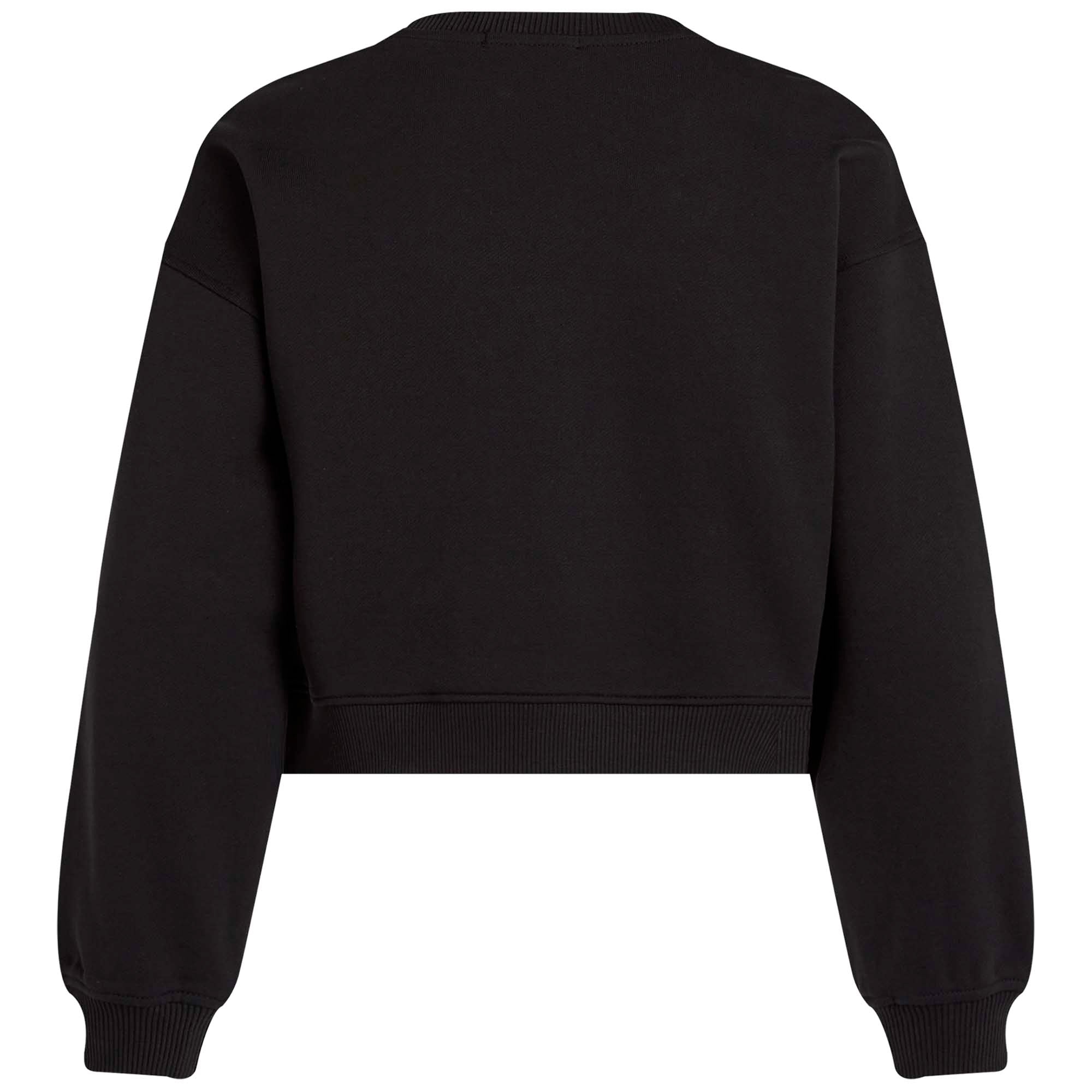 GLITTER_MONOLOGO_CN_SWEATSHIRT_CKIG0IG02823T_BEH_Image_2