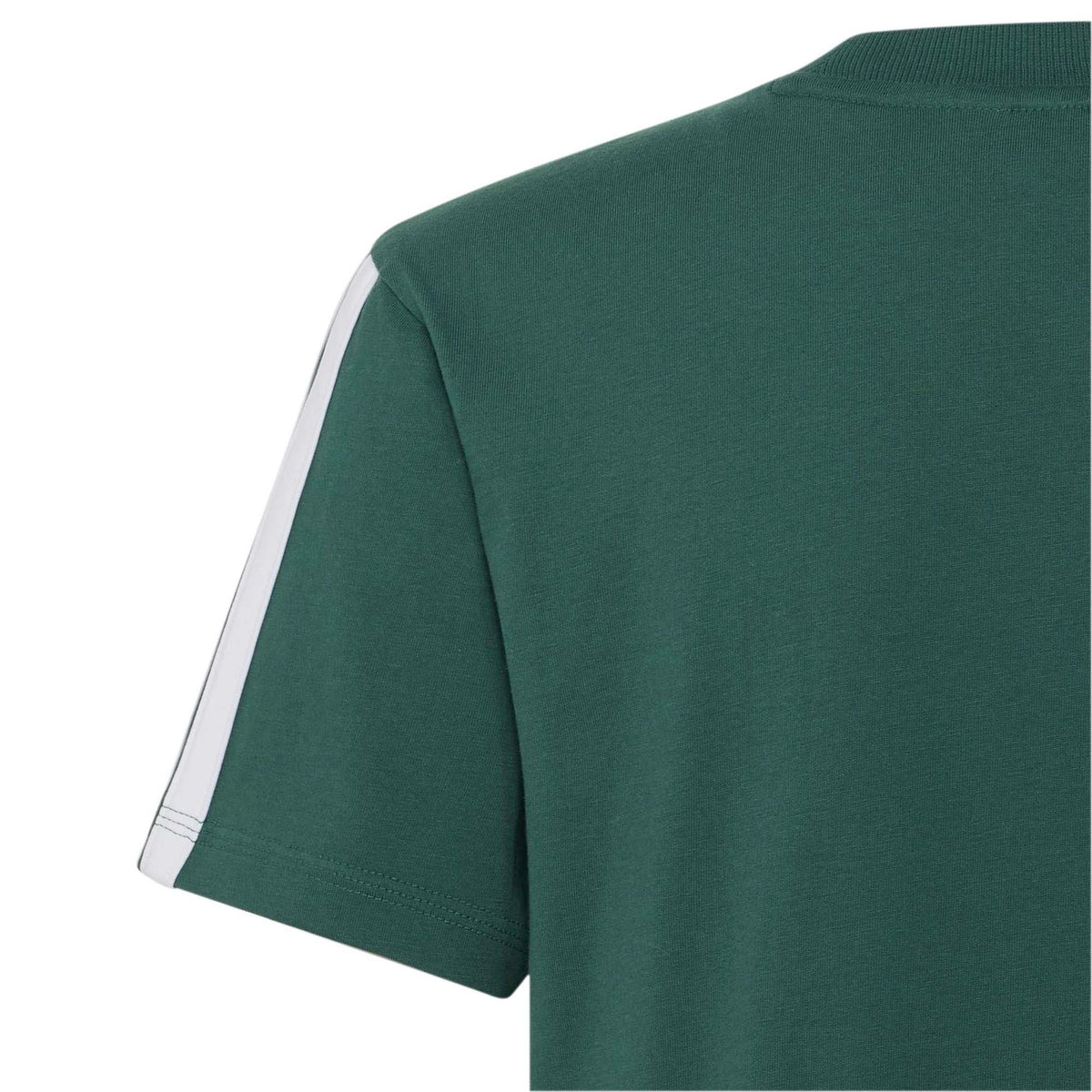 J_3S_TEE_160_KY8026_CGREENW_Image_5
