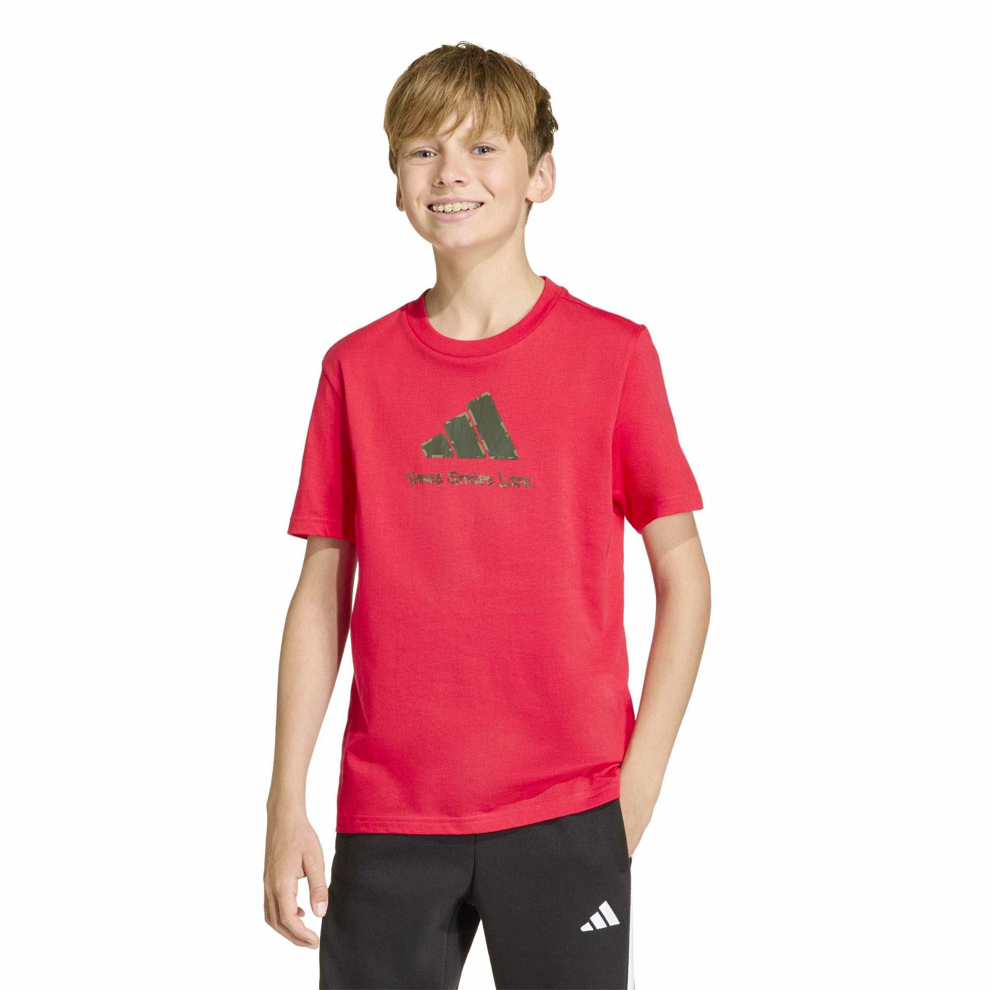 J_CAMO_TRAIN_T2_KA2977_PURRUB_Image_2