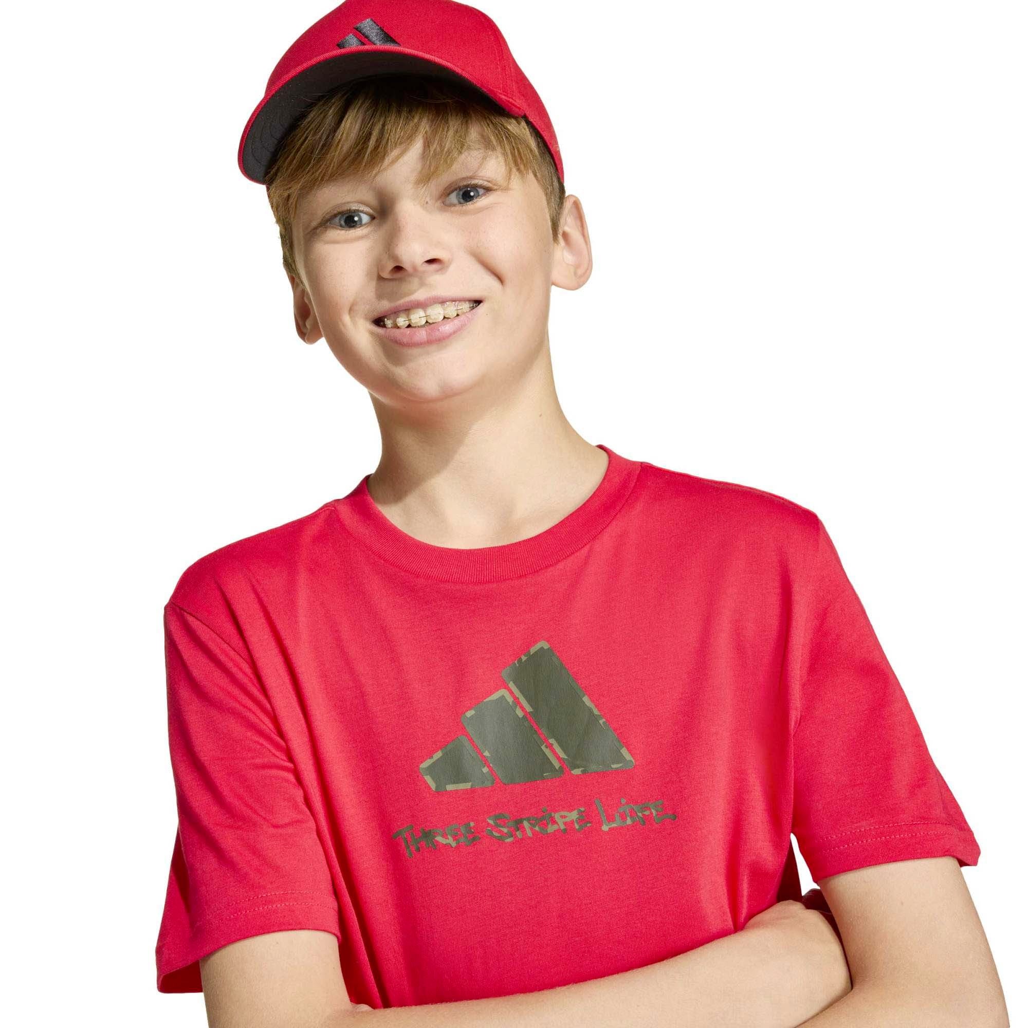 J_CAMO_TRAIN_T2_KA2977_PURRUB_Image_4