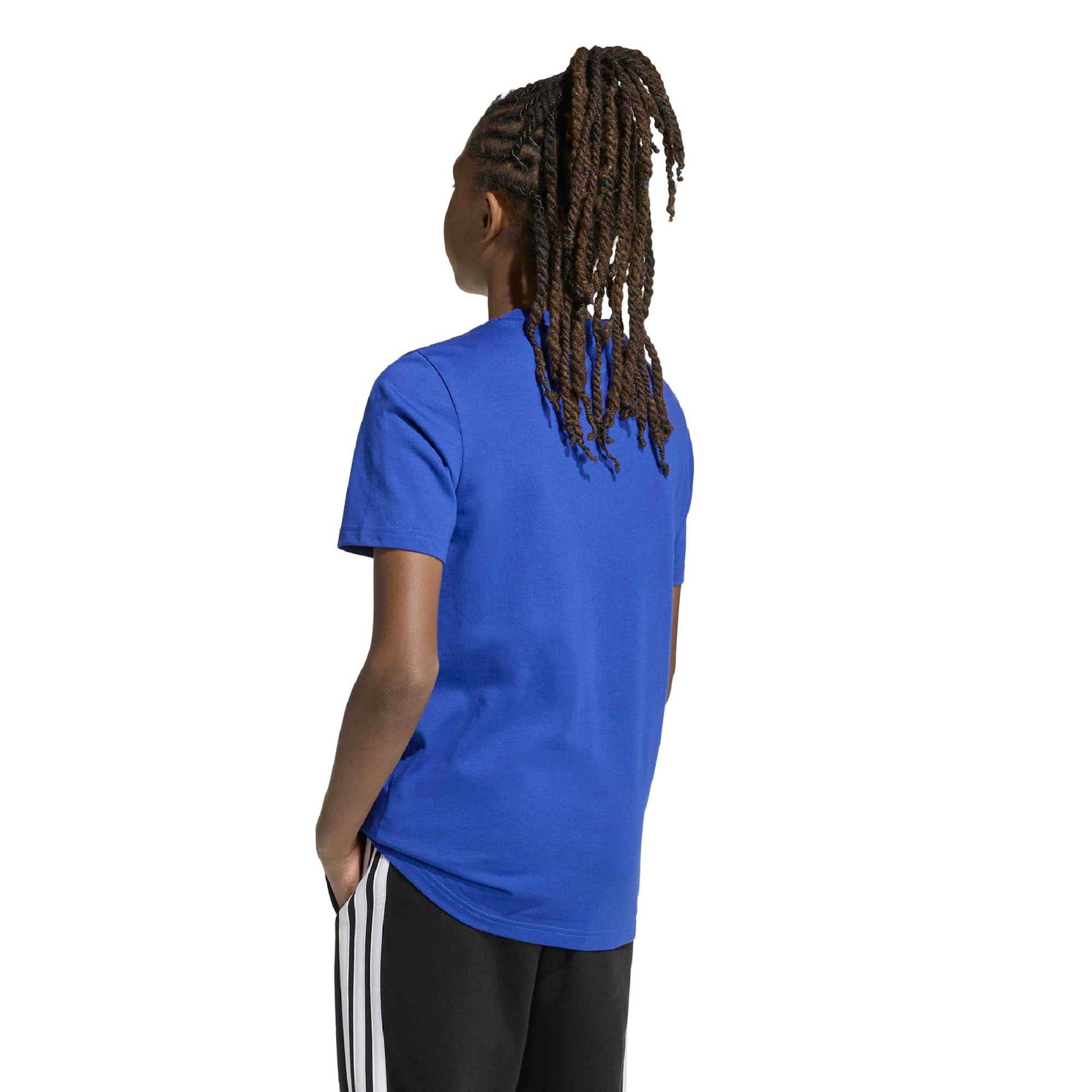 J_GAME_T_KA0530_ROYBLU_Image_3