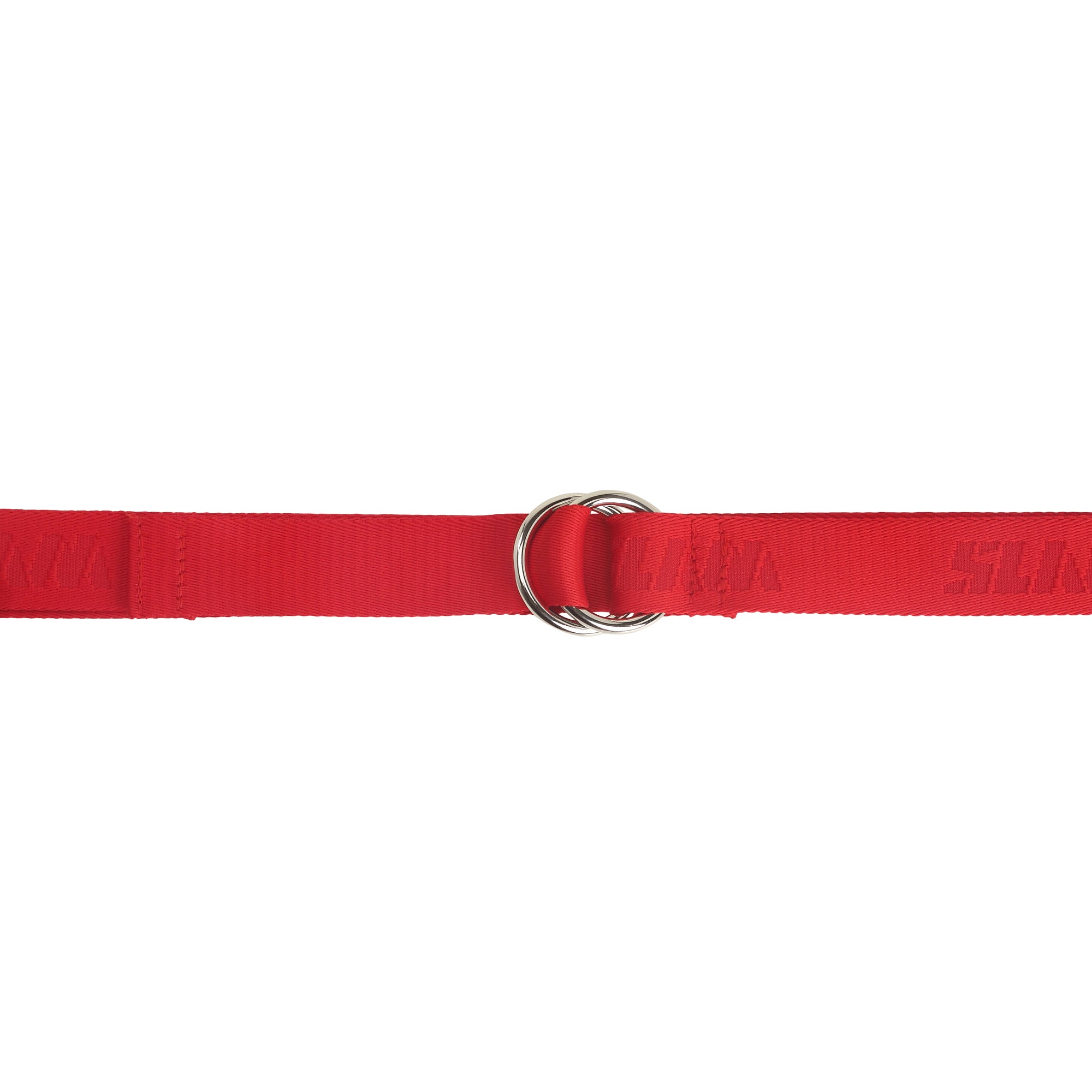 LOGO_BELT_A460001S00_W15_Image_3