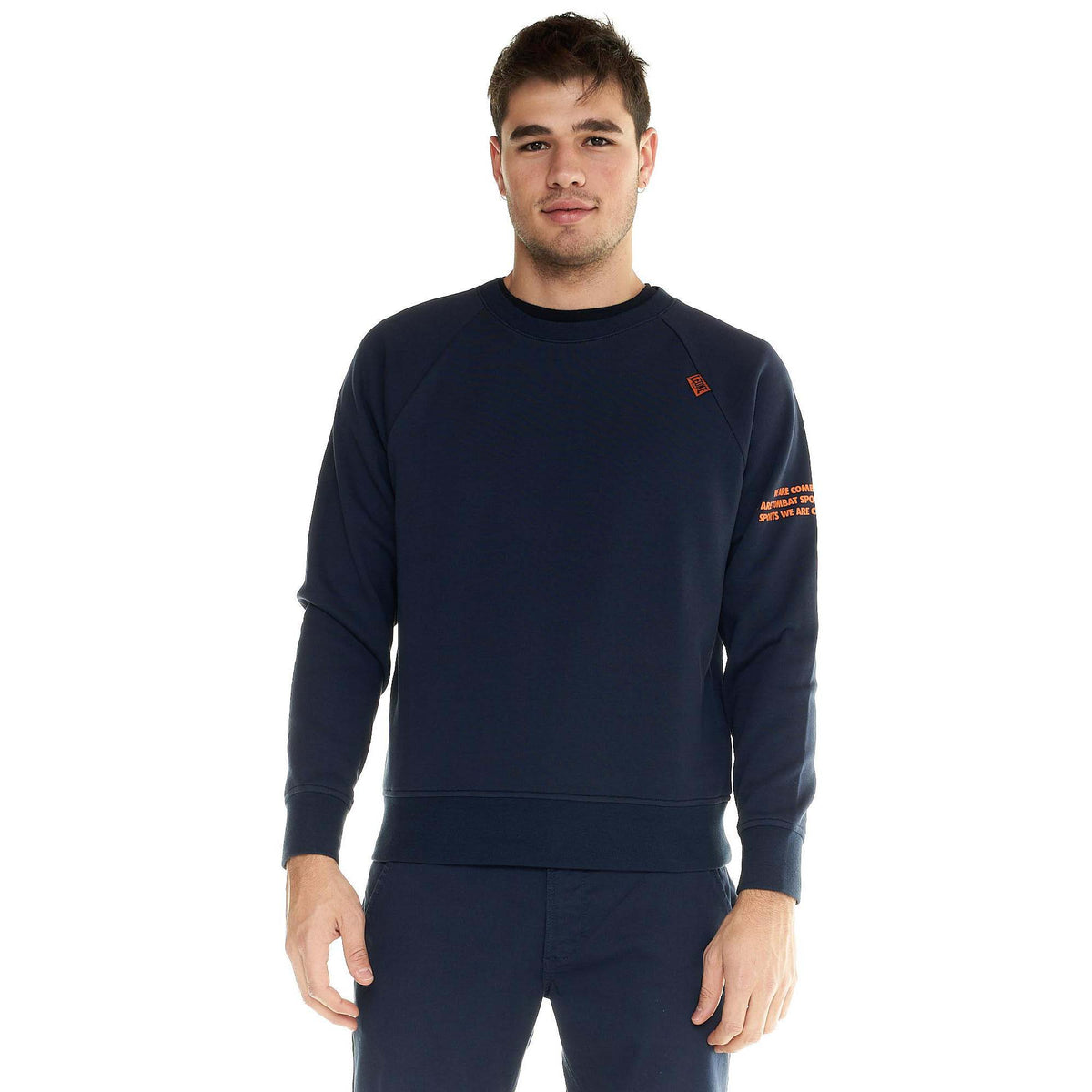 MAN_CREWNECK_SHADES_M5037T7F28_10_Image_1