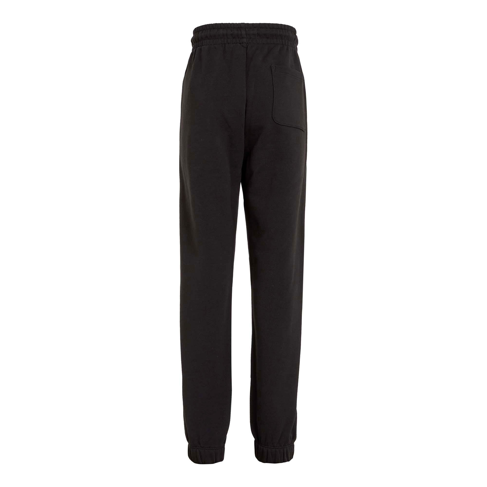 MINI_HERO_FLOCK_LOGO_PANTS_CKIB0IB02125T_BEH_Image_2