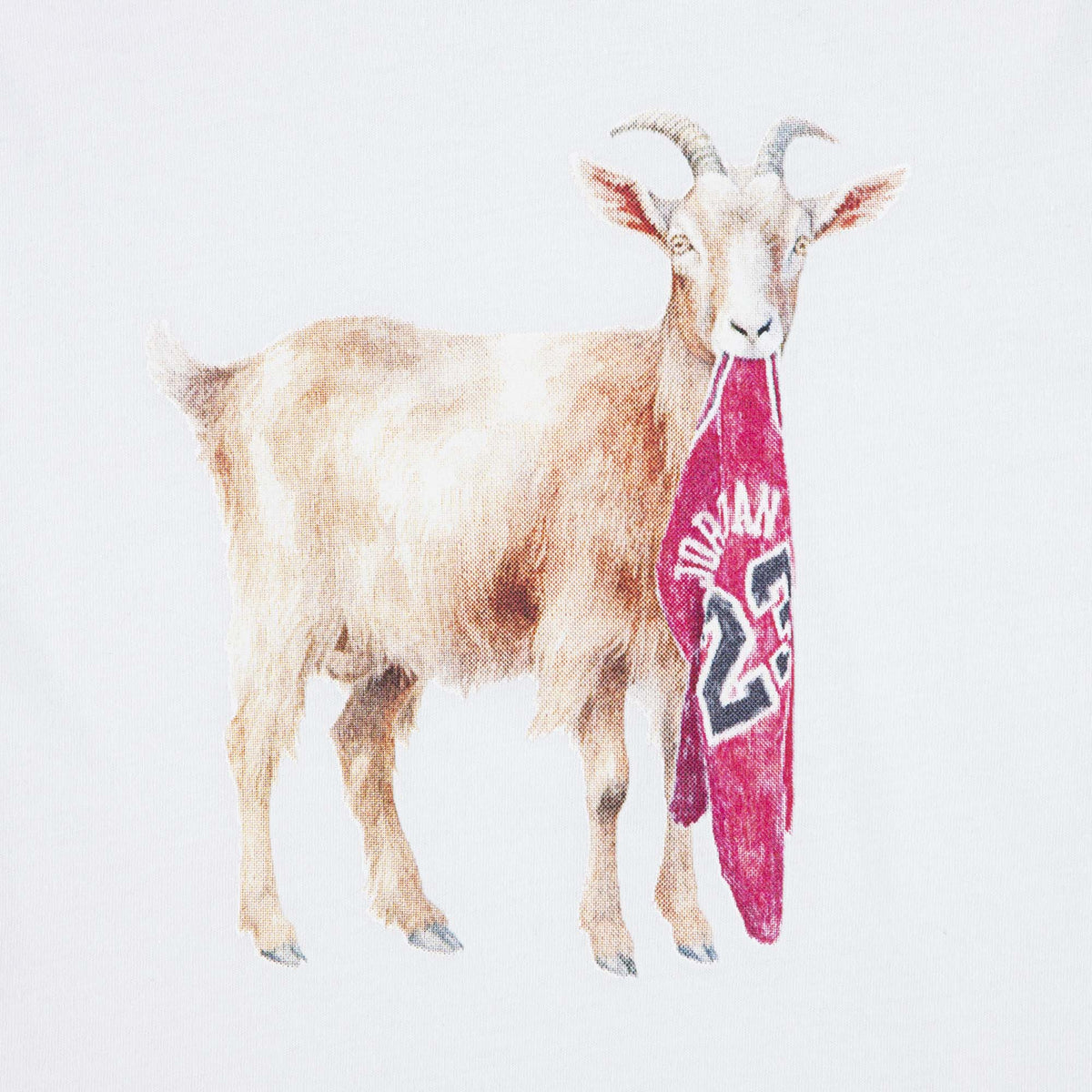 MJ_FLT_GOAT_SS_CREW_95F314_001_Image_3