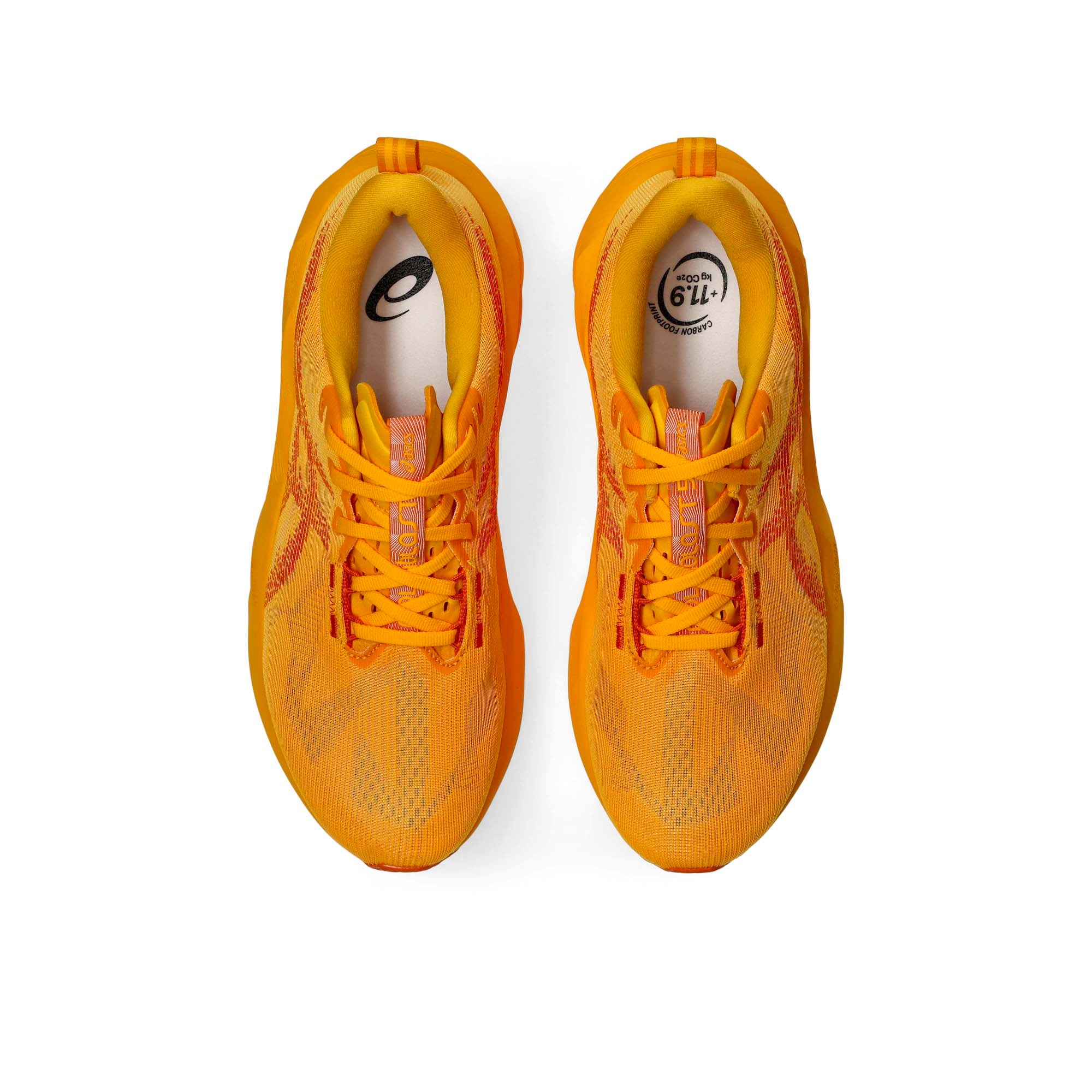 NOVABLAST_5_1011B974_800_Image_5