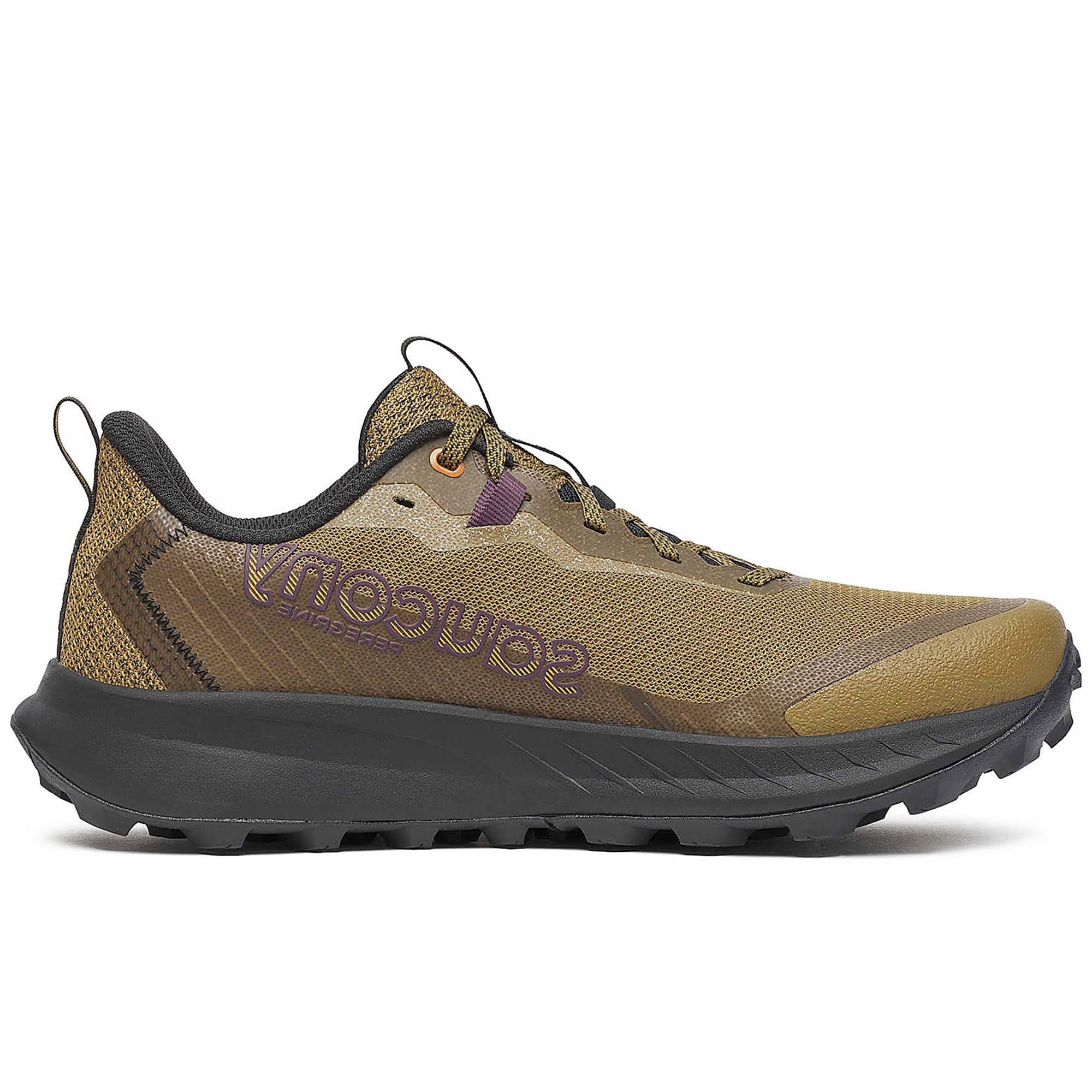 PEREGRINE_15_S20990_242_Image_3