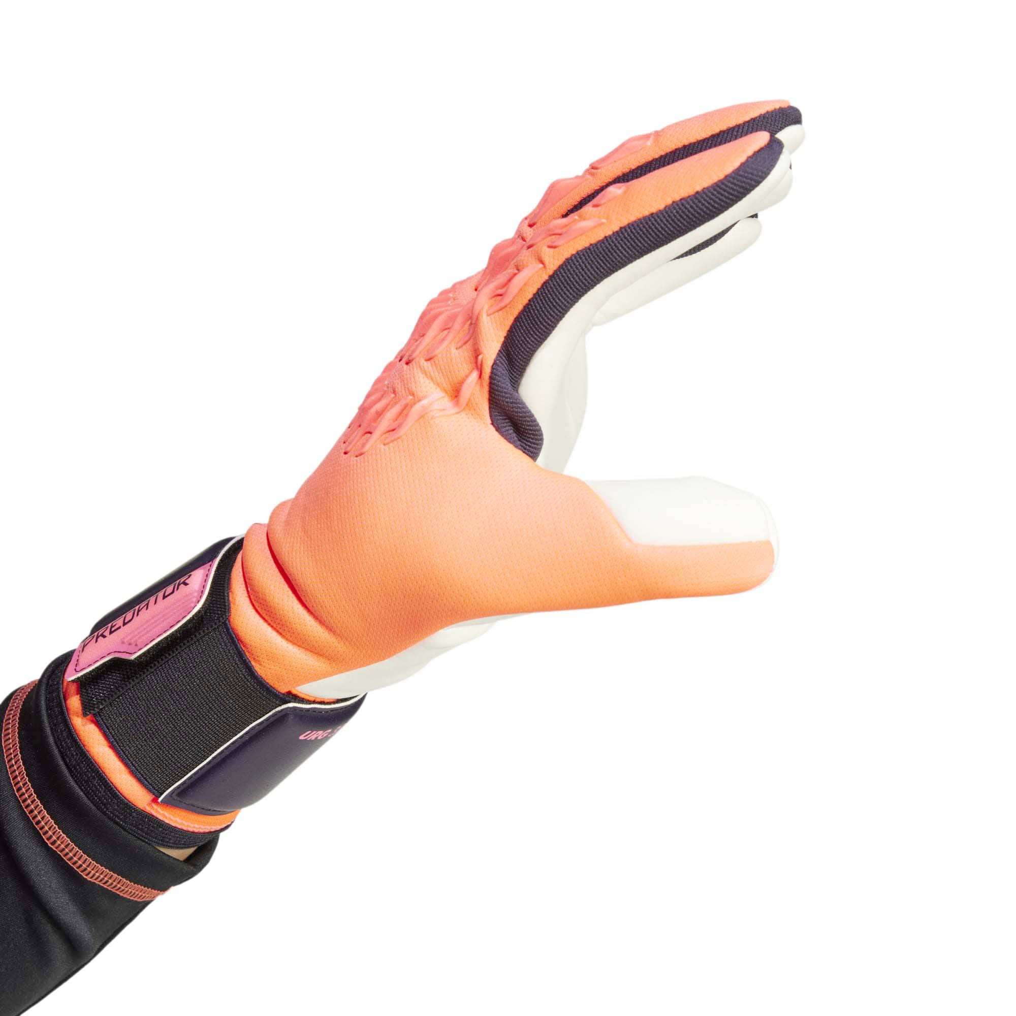 PRED_GL_LGE_IX3859_TURBOAU_Image_3