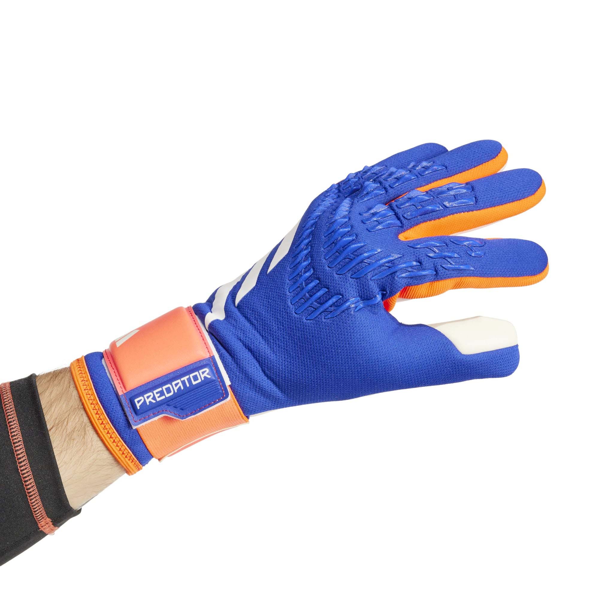 PRED_GL_LGE_IX3860_LUCBLUS_Image_3