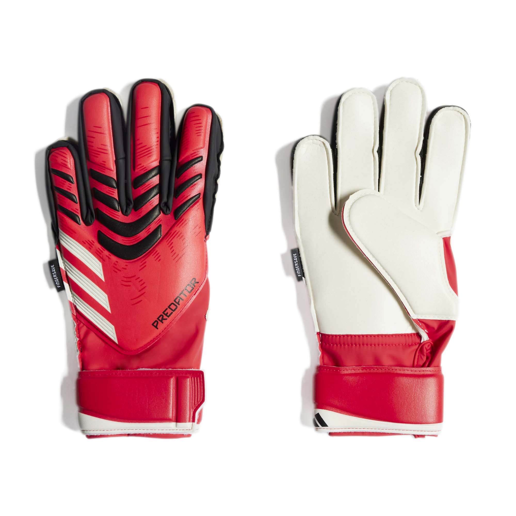 PRED_GL_MTC_FSJ_JH3809_PURRUBL_Image_1